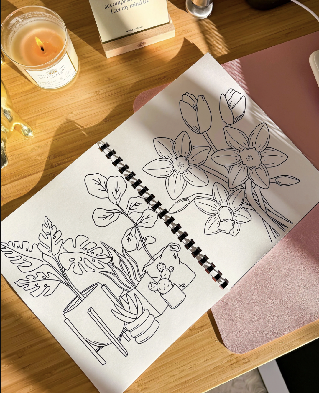 Coloring Pages_3.png