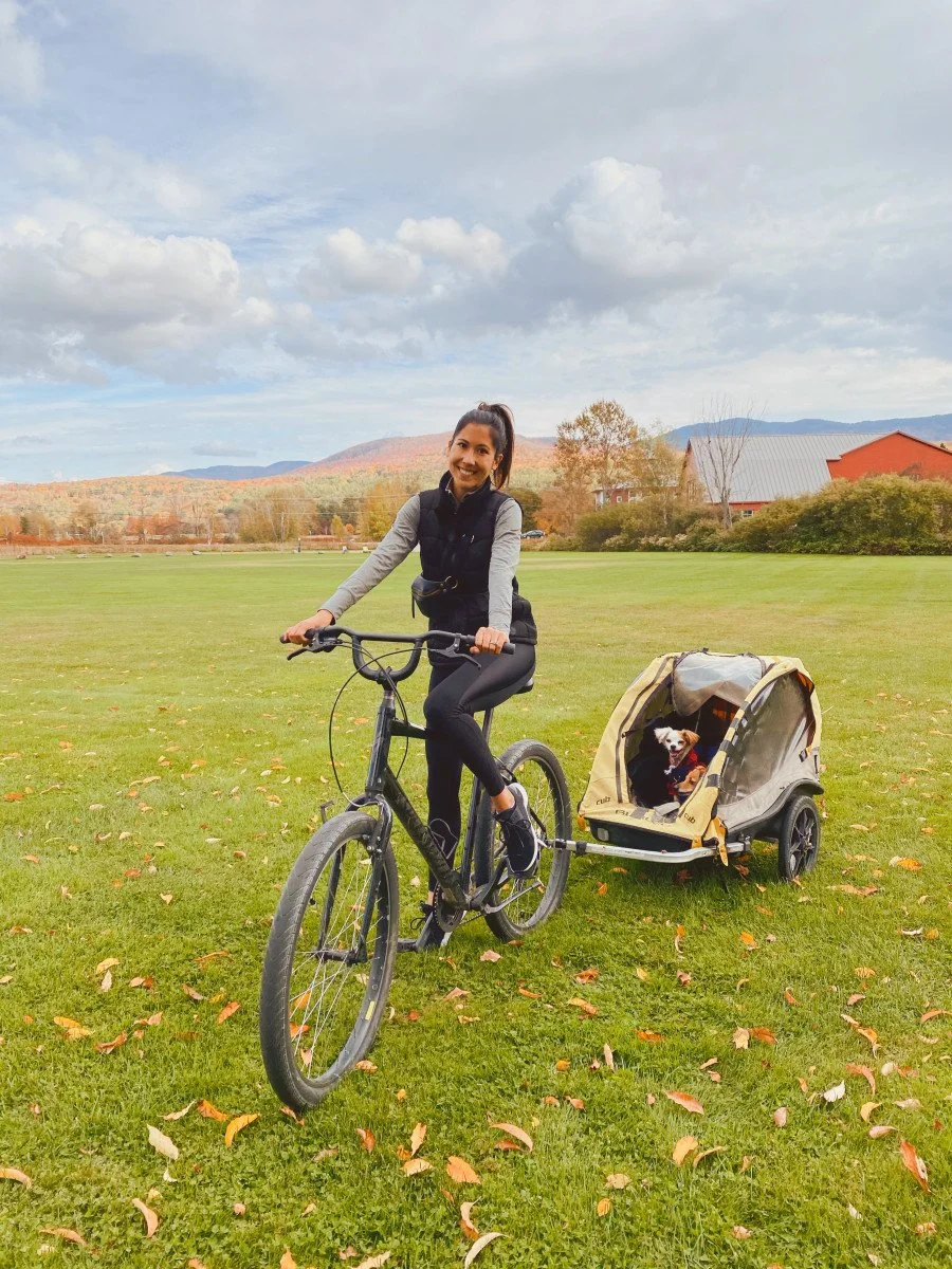 riding bike with dog carrier