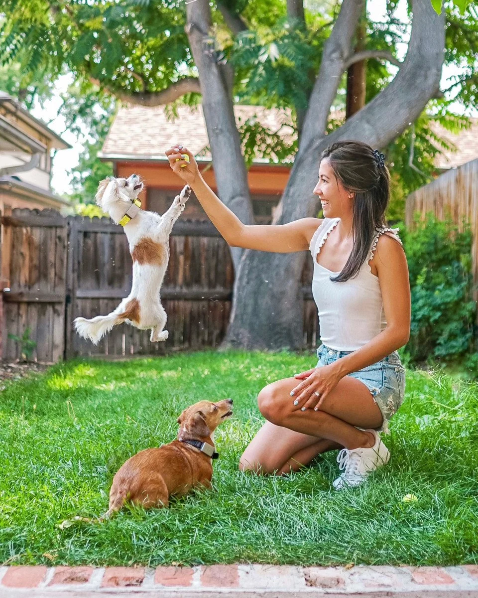 Nina and Chip's Paw-fect Dog Product Picks