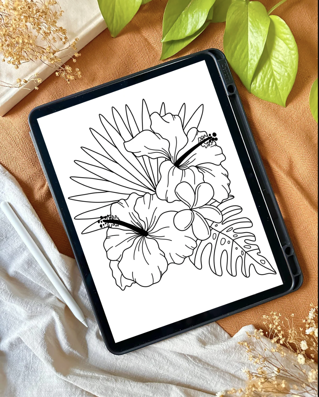 Coloring Pages_2.png