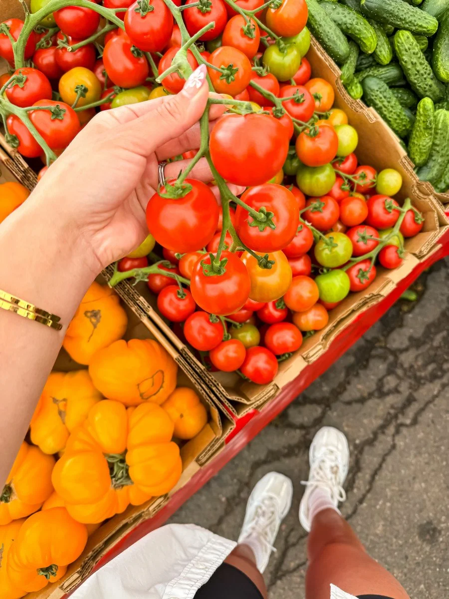tomatoes on the vine