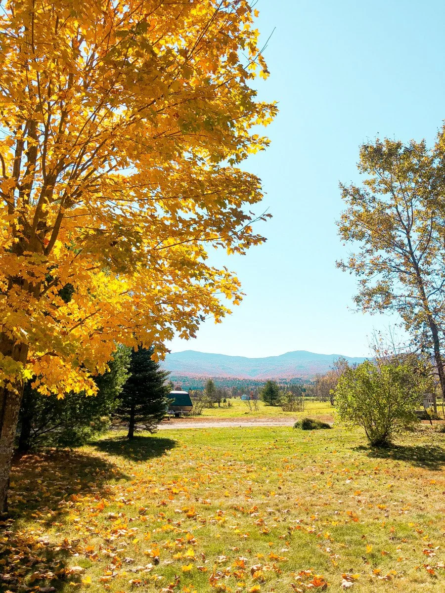 fall foilage in stowe