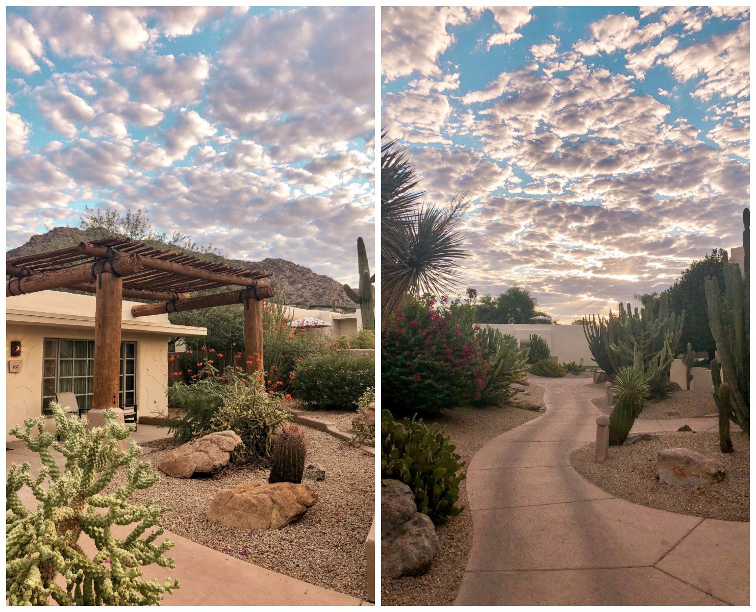 ultra fit fest arizona