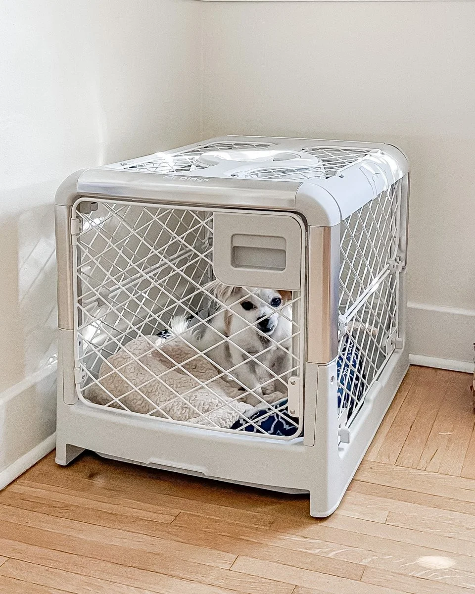 revol dog crate