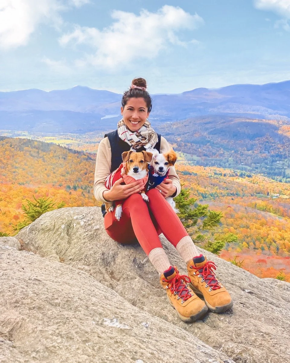 woman holding two small dogs overlooking fall foilage views
