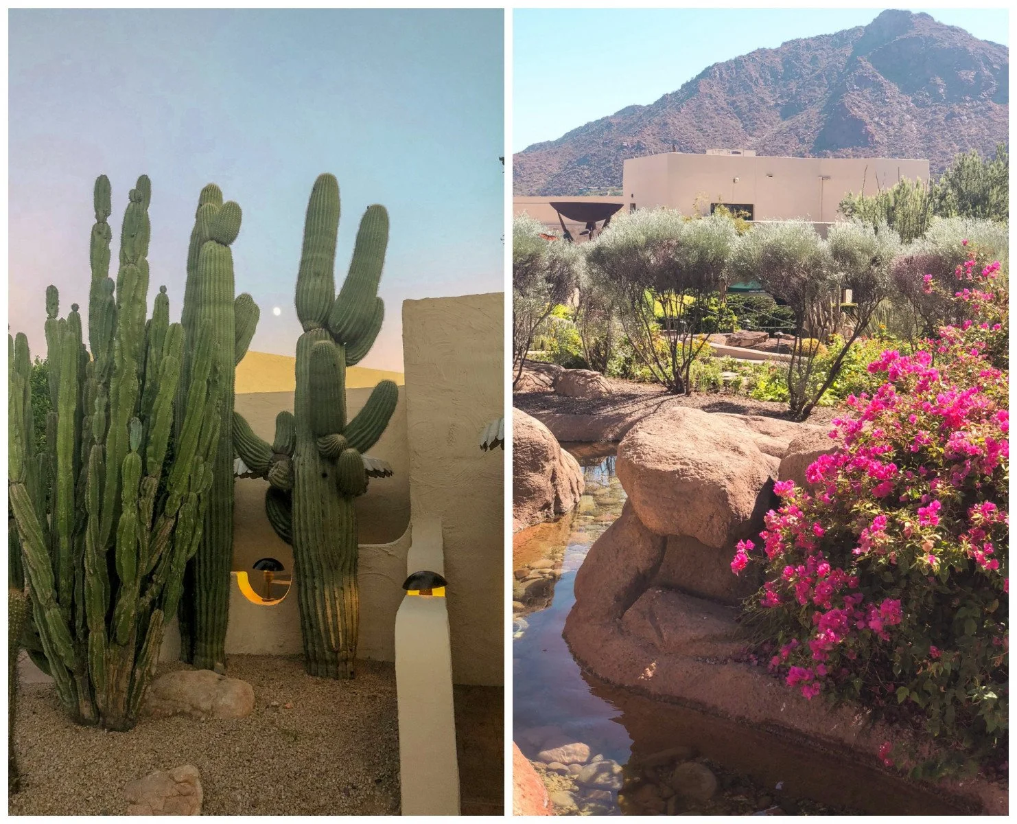 beautiful arizona