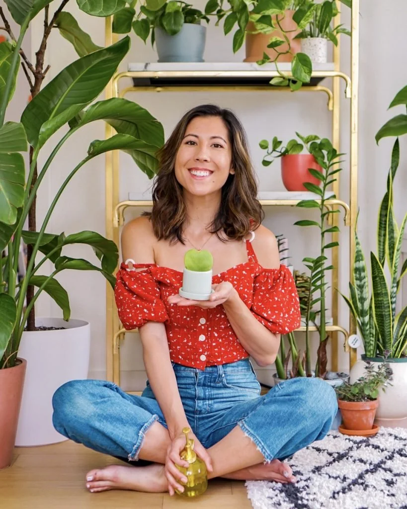 My Favorite Houseplants and How to Care for Them