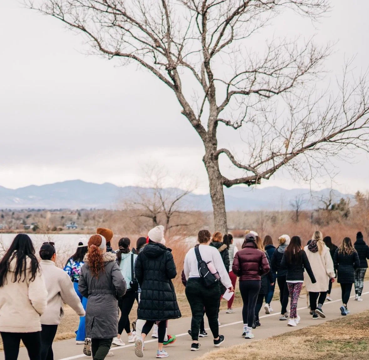 A group of people walking outdoors on a paved path next to a leafless tree, with mountains in the background and overcast sky.