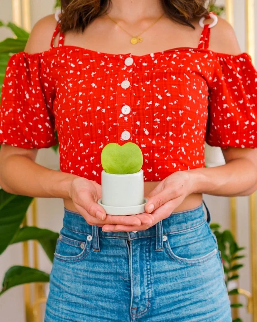 woman holding small heart shaped plant