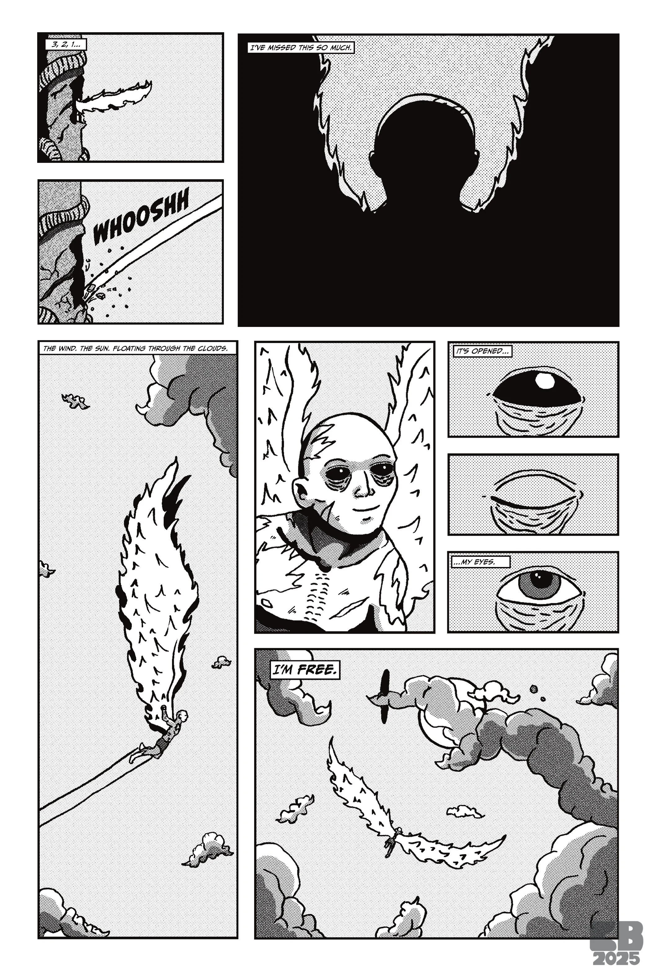 Attachment (Page 8)- Pen and ink + Procreate - 2025