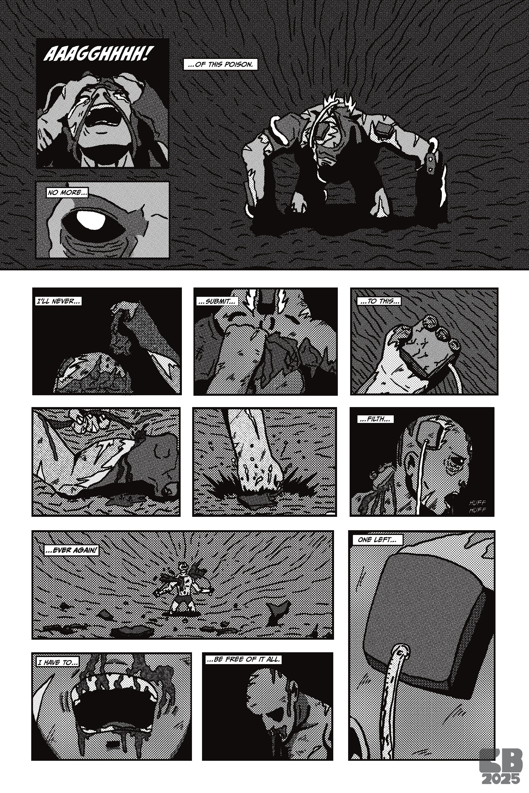 Attachment (Page 5)- Pen and ink + Procreate - 2025