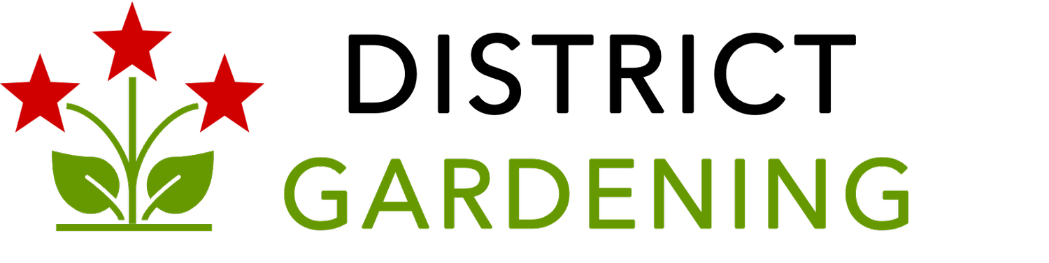 Your Site Title