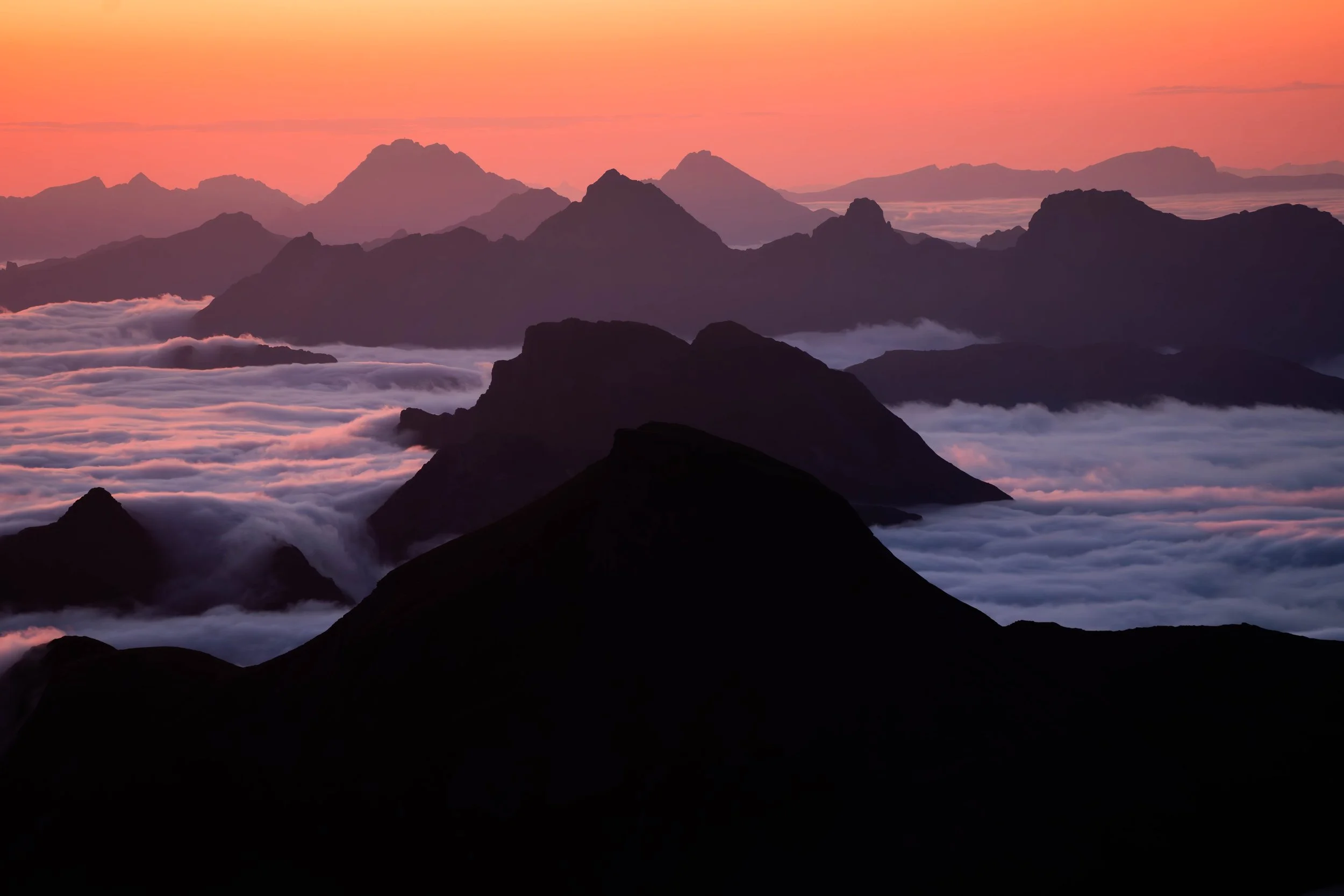 DSC01227-Verbessert-RR 4.JPG