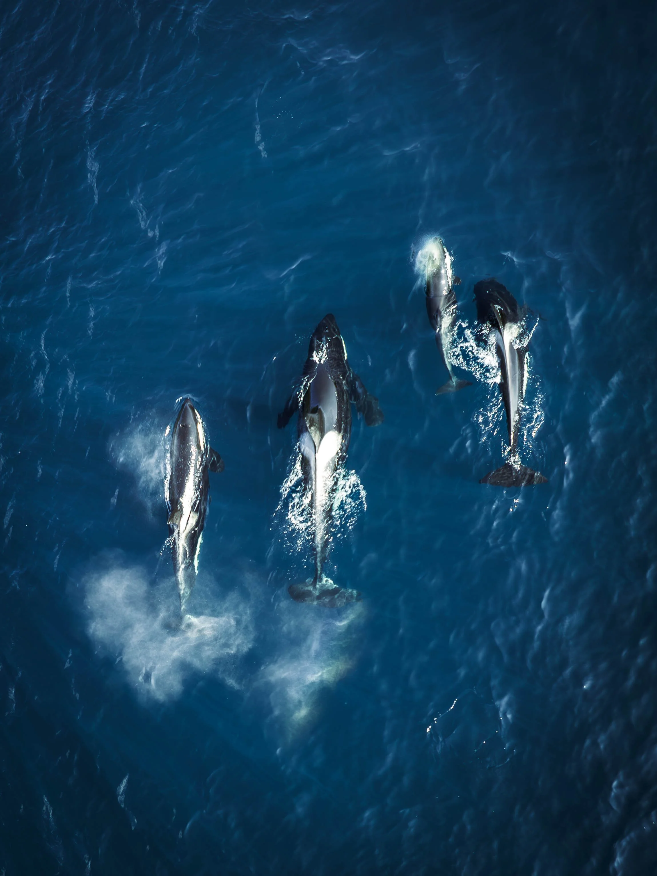 DJI_0554-Verbessert-RR-4 2.JPG