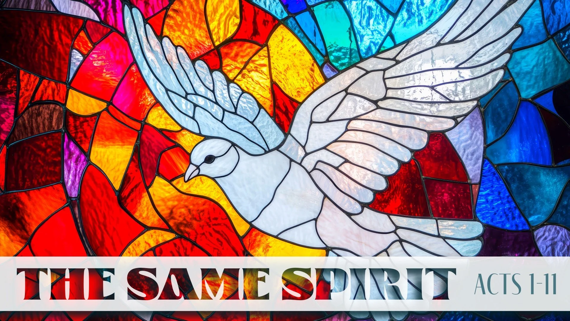 So, What Do We Do Now?