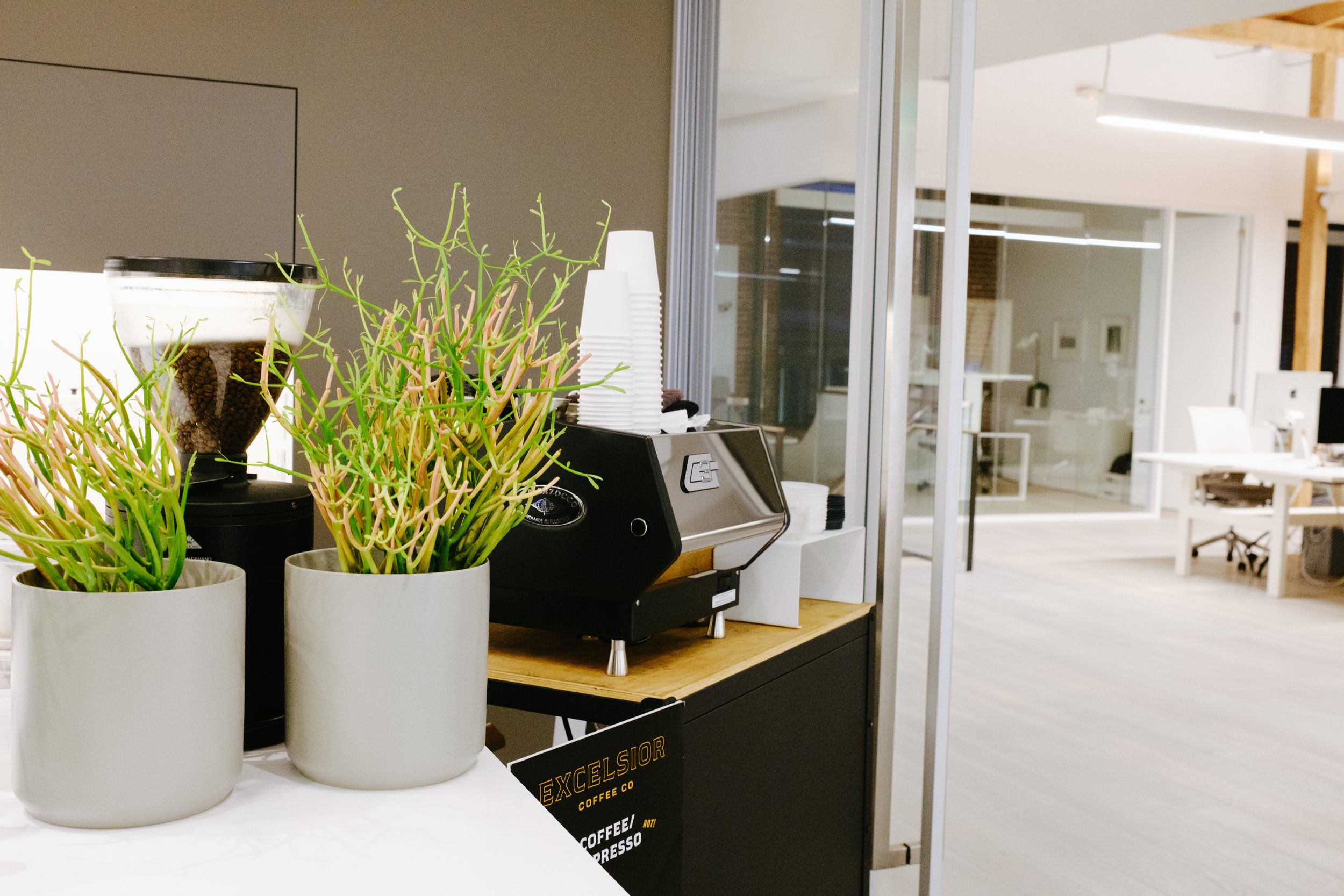 A coffee station with potted plants, a coffee grinder, and a coffee machine in a modern office setting.