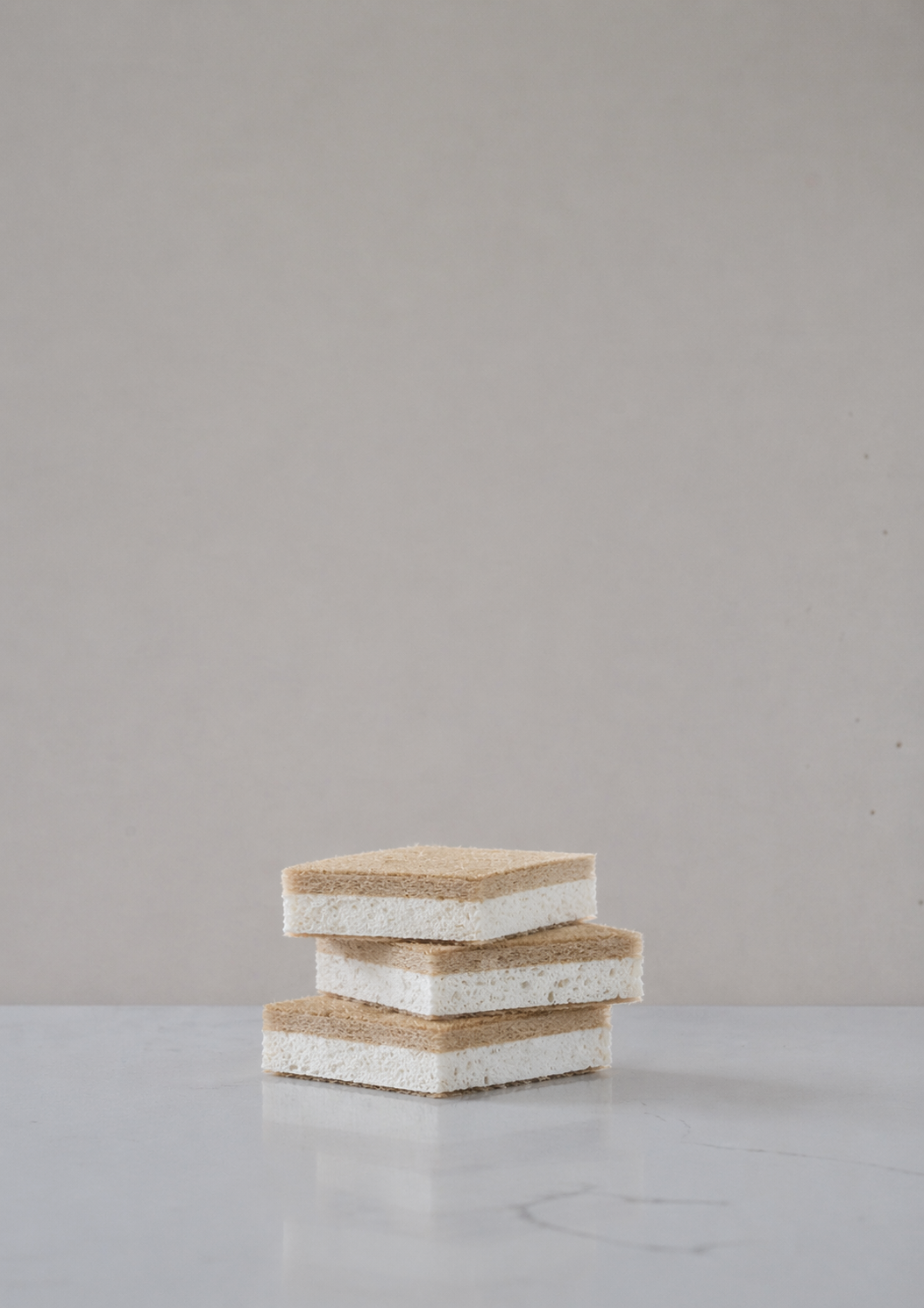 Coconut Fibre Sponges (set of 6)