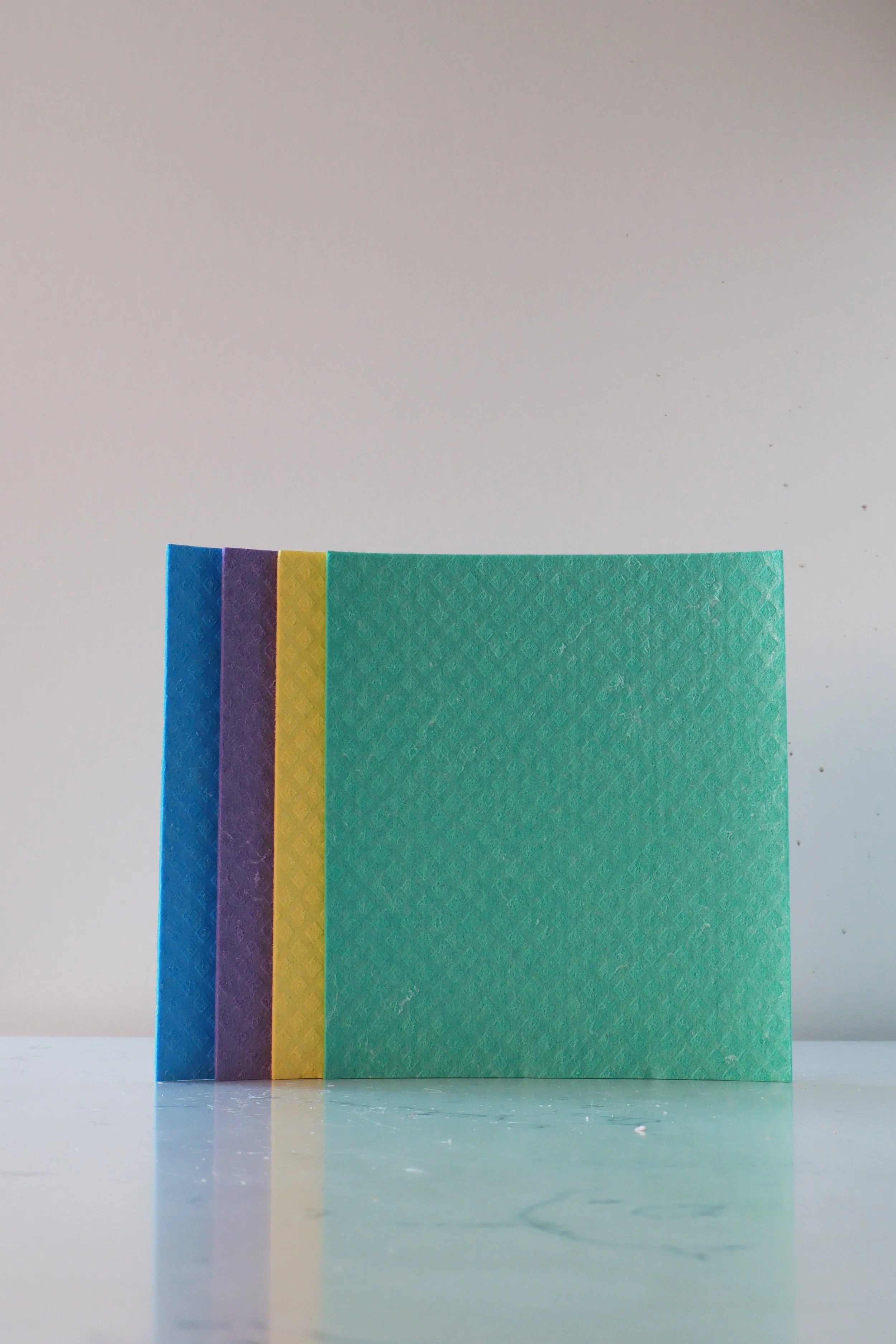 NSC-acessories_swedishcloth_2.jpg