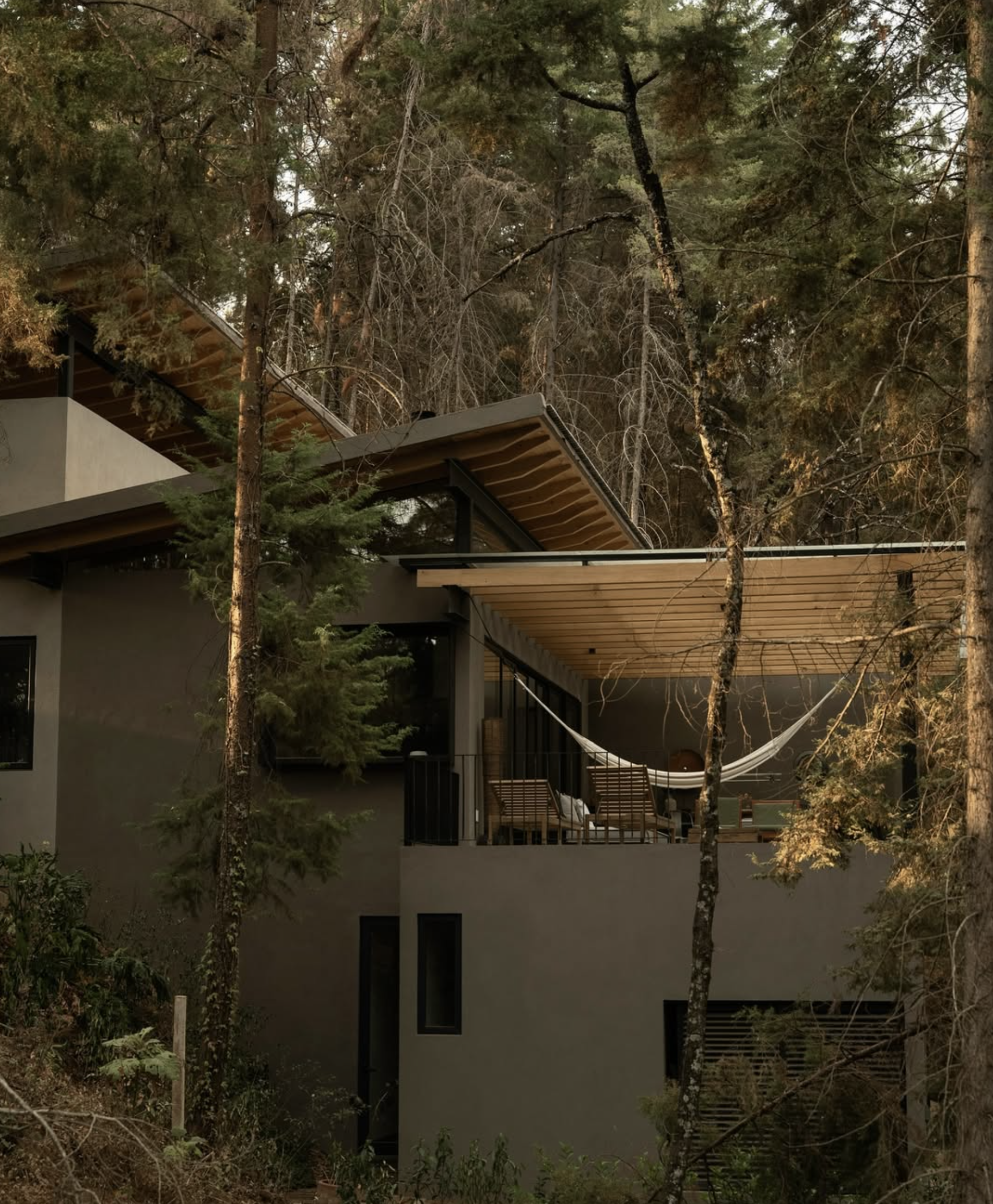 Screenshot 2025-07-30 at 5.04.05 p.m..png