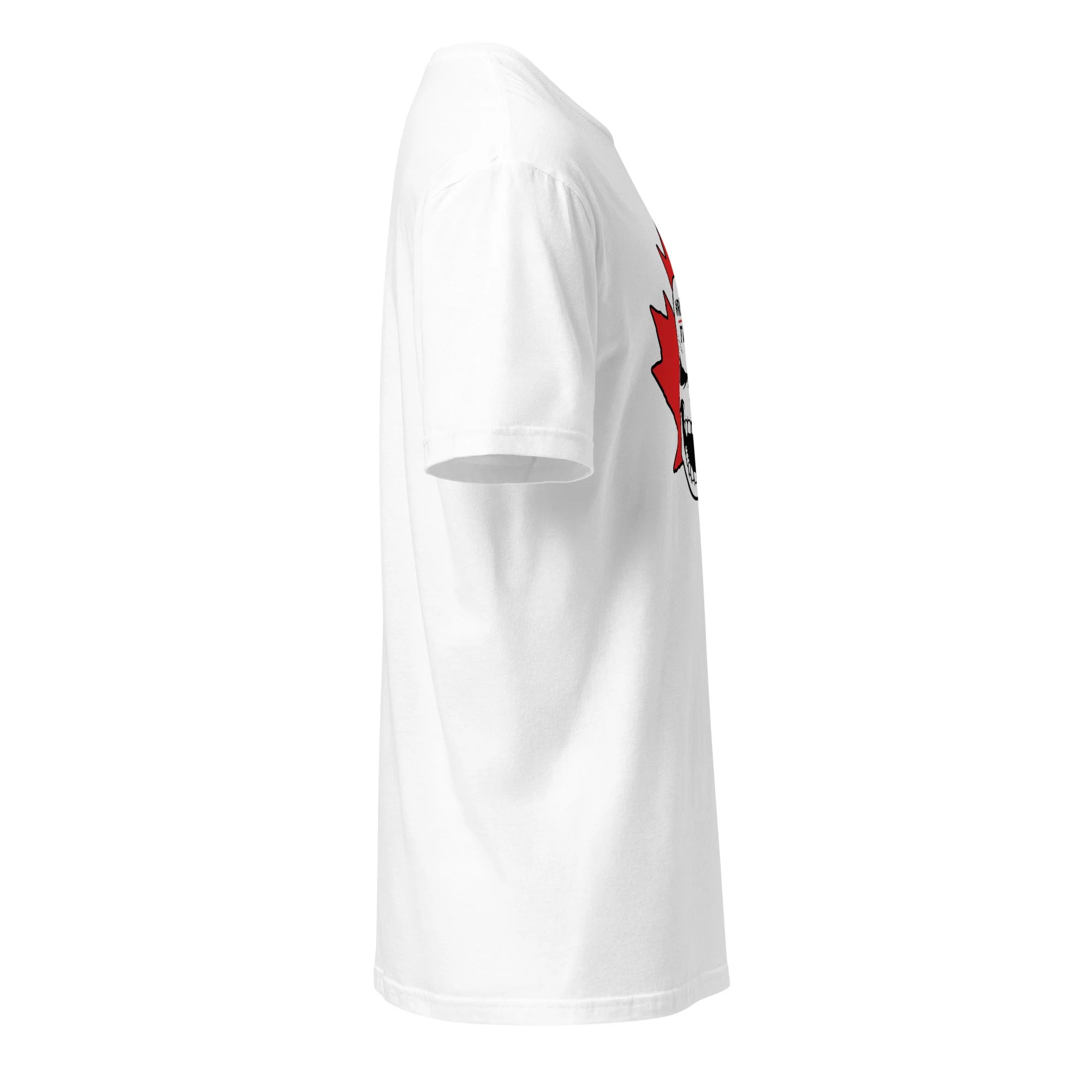 unisex-basic-softstyle-t-shirt-white-right-6ab34cbae6097.jpg