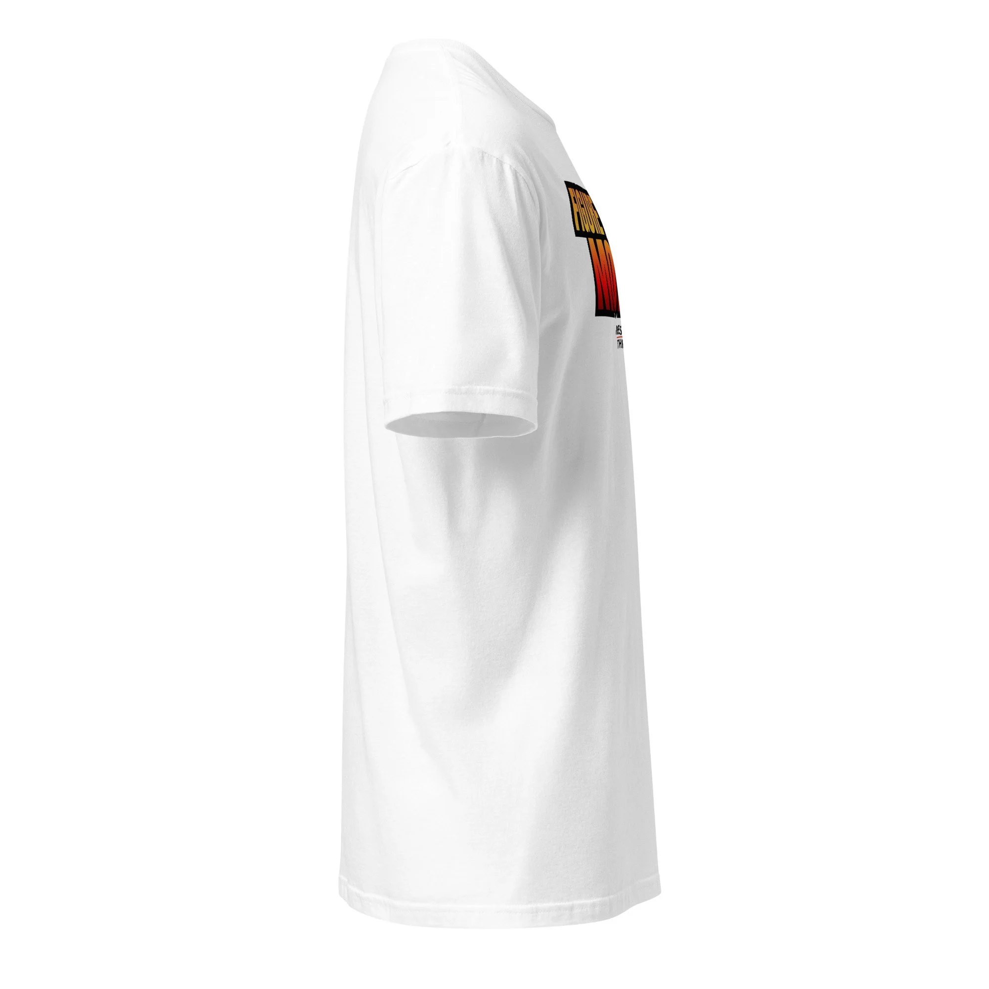 unisex-basic-softstyle-t-shirt-white-right-6ab358f88b7de.jpg