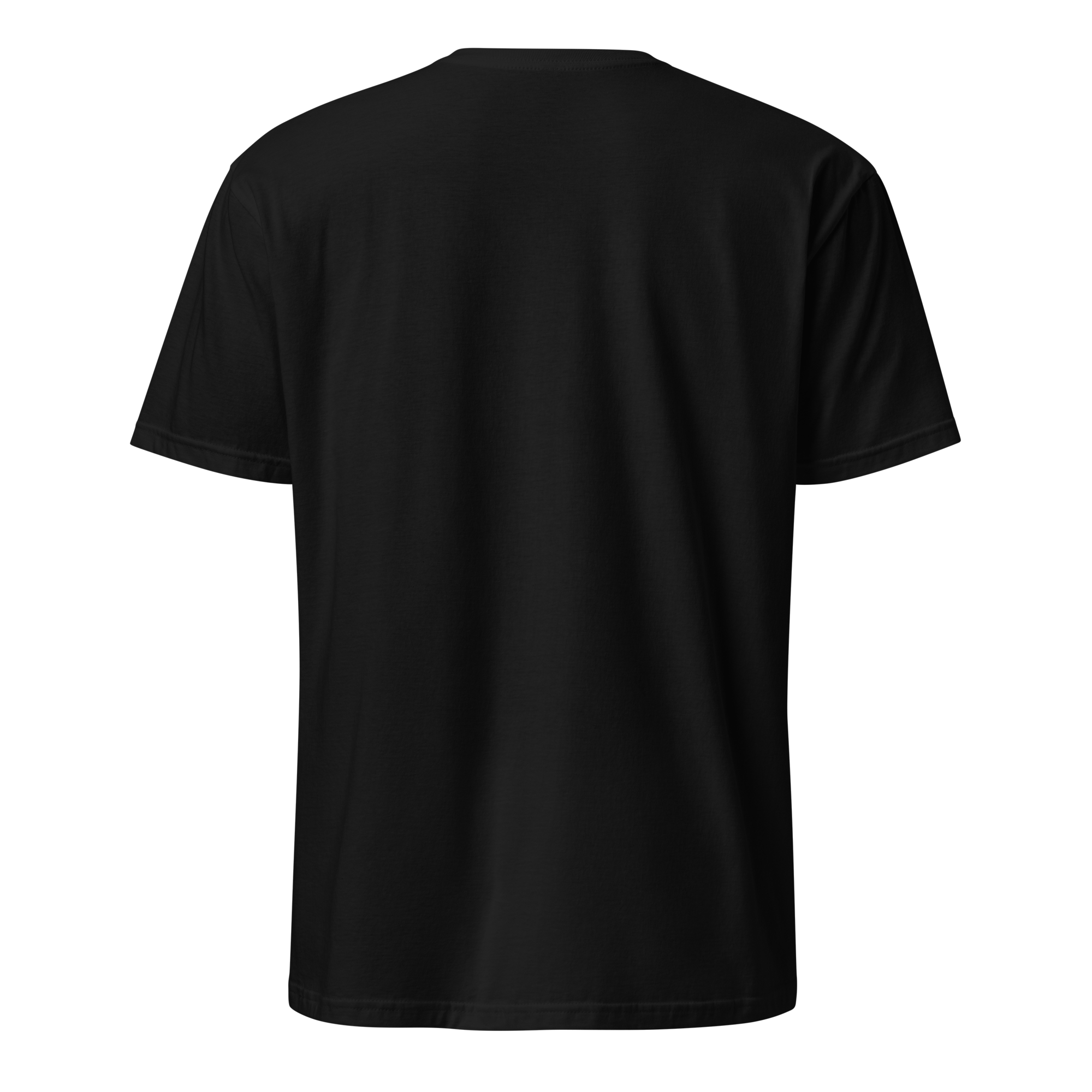 unisex-basic-softstyle-t-shirt-black-back-6ab35a9d7ad18.png