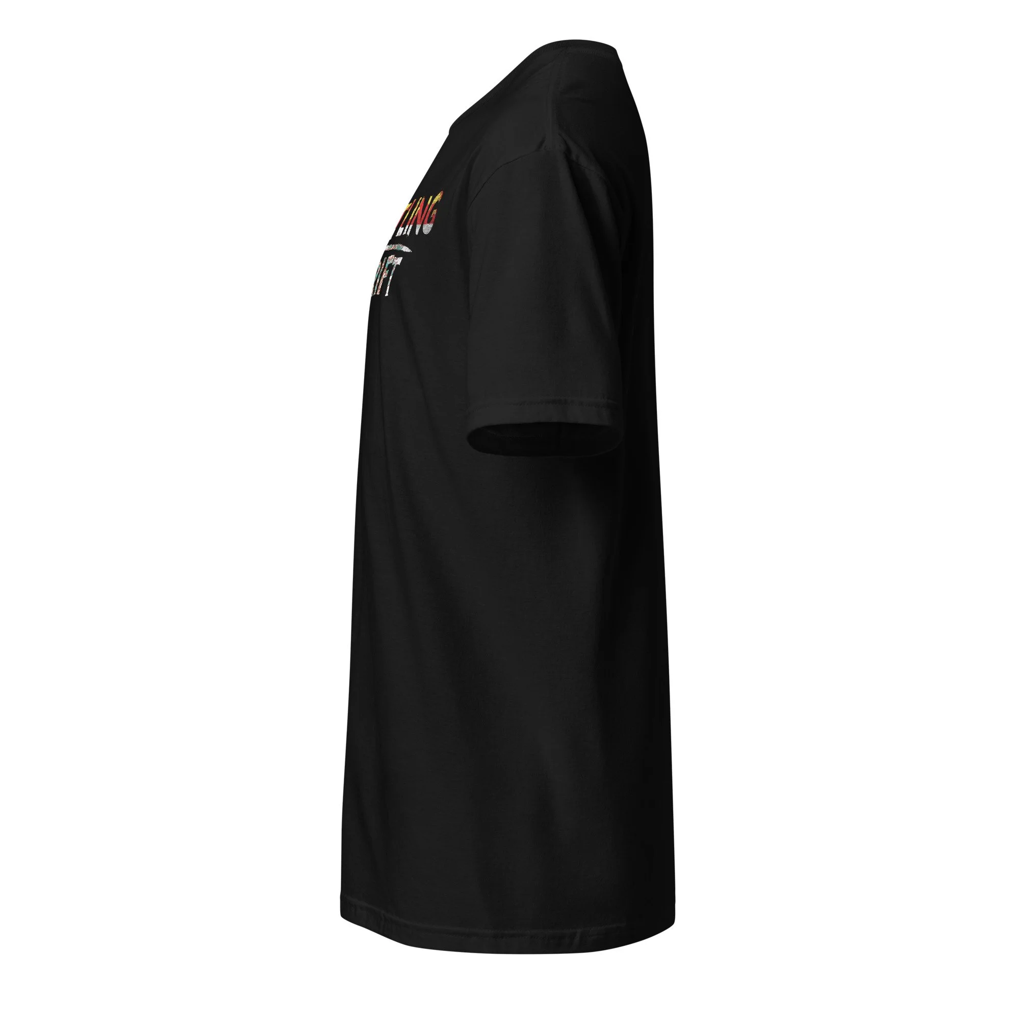 unisex-basic-softstyle-t-shirt-black-left-6ab35cf52ea0d.jpg