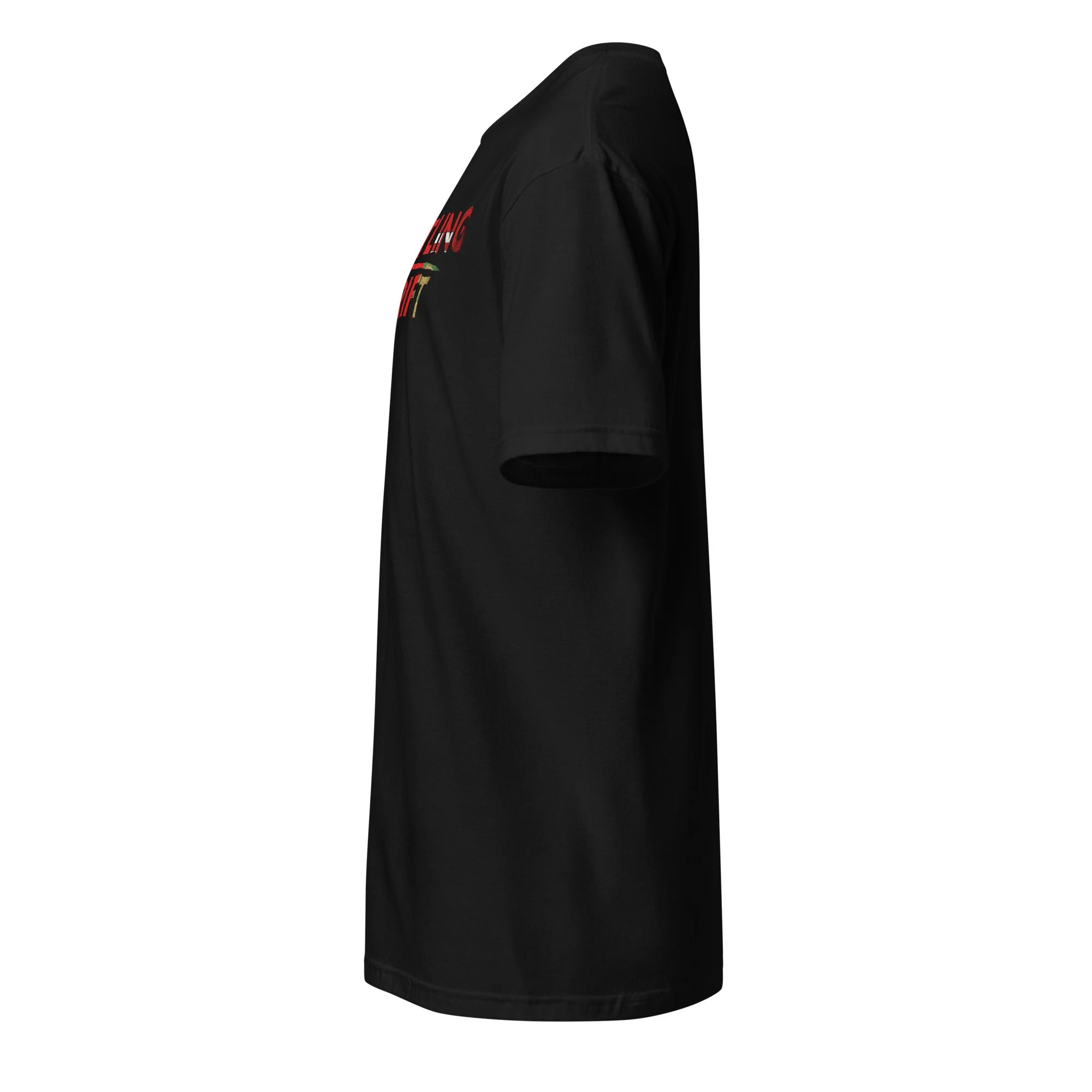 unisex-basic-softstyle-t-shirt-black-left-6ab35f23e53a3.jpg