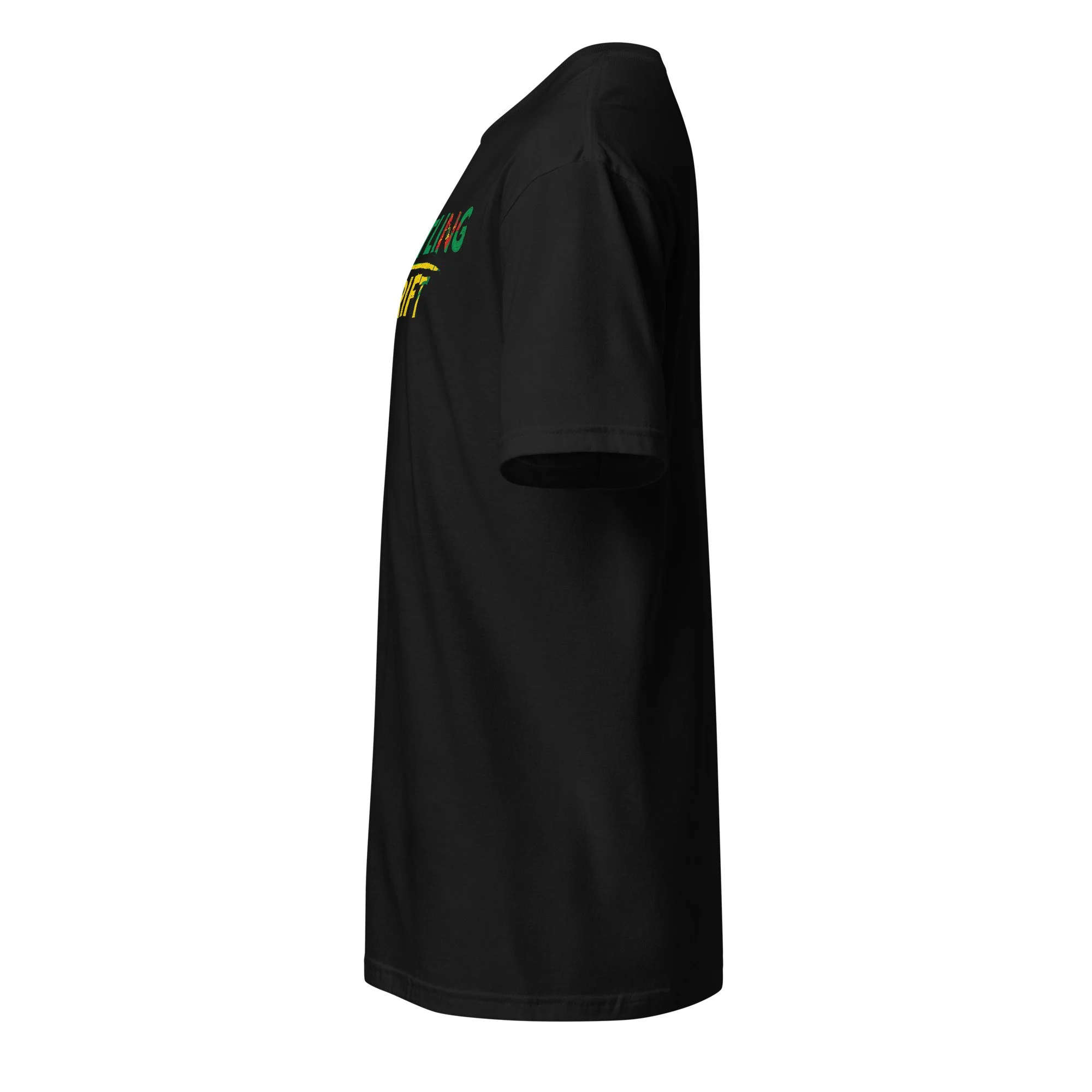 unisex-basic-softstyle-t-shirt-black-left-6ab35fc5e334c.jpg
