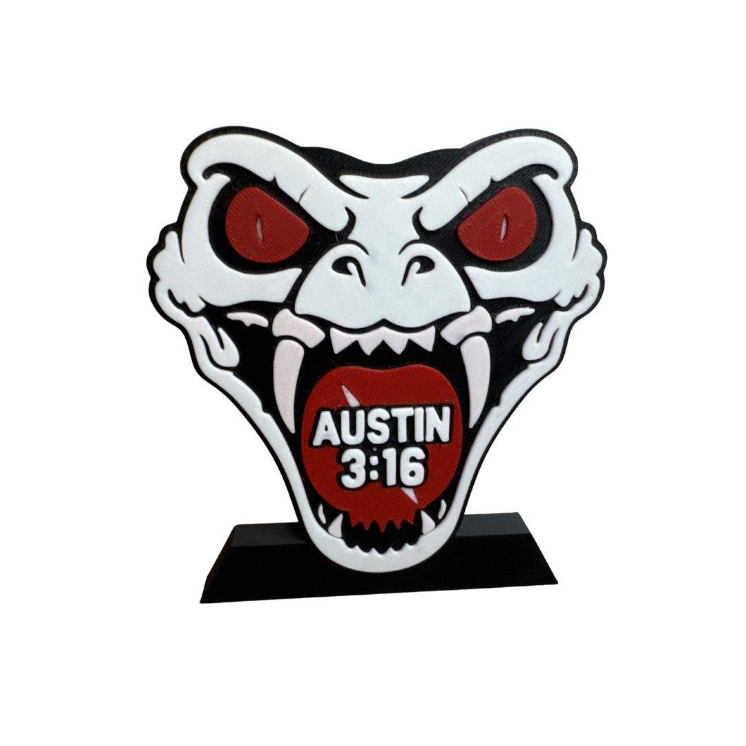 Wrestling Shelf Displays