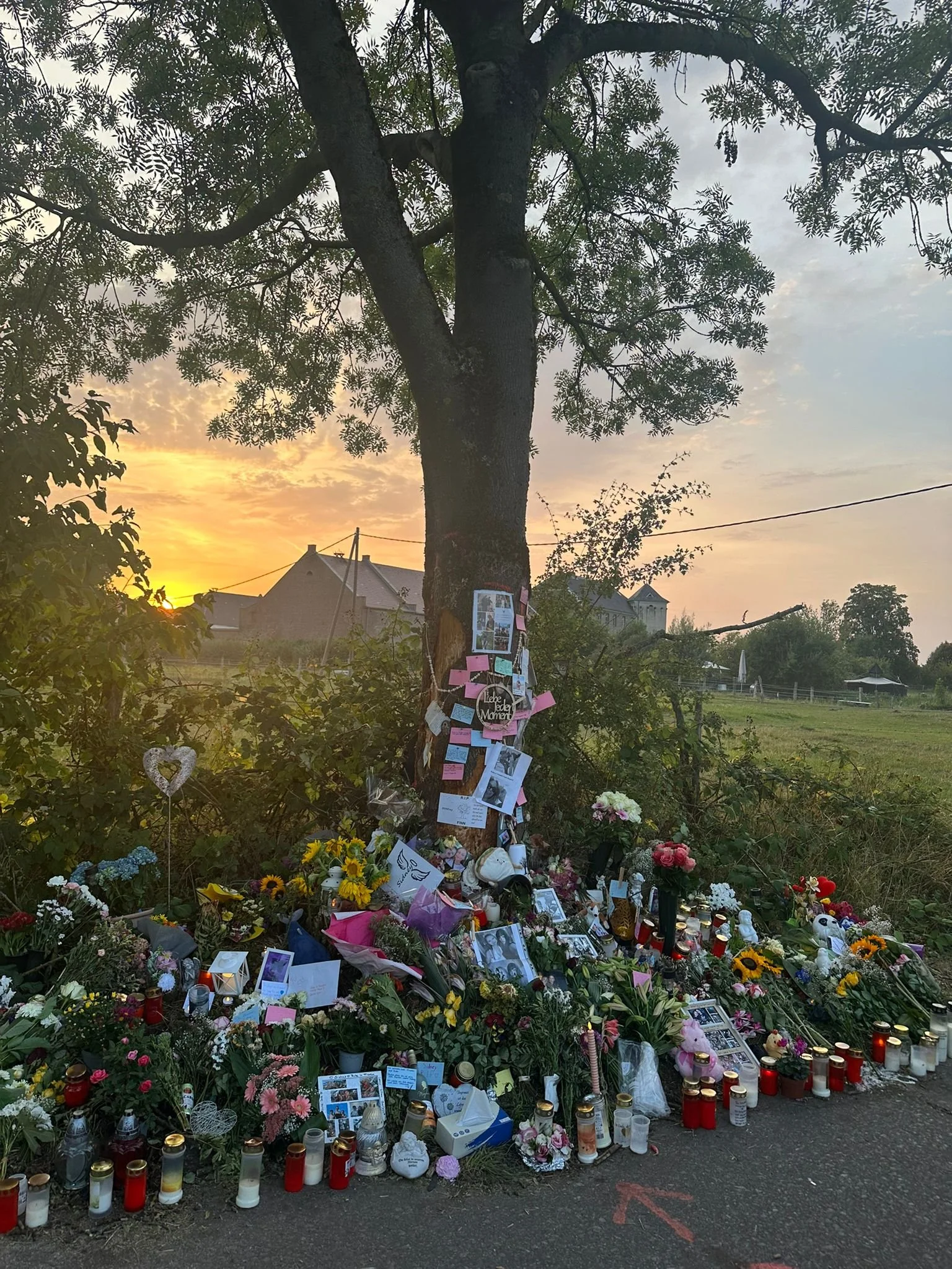 Blumen, Kerzen, Fotos und Erinnerungsstücke an einem Baum bei Sonnenuntergang
