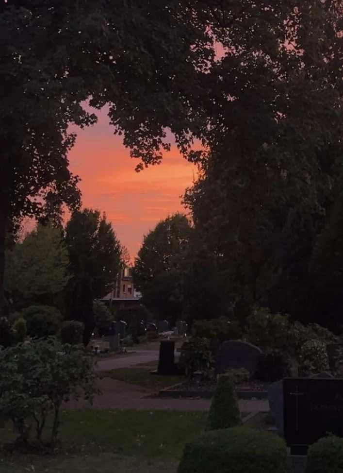 Abendhimmel mit orangener und pinker Färbung über einem Friedhof mit Gräbern, umgeben von Bäumen und Büschen.