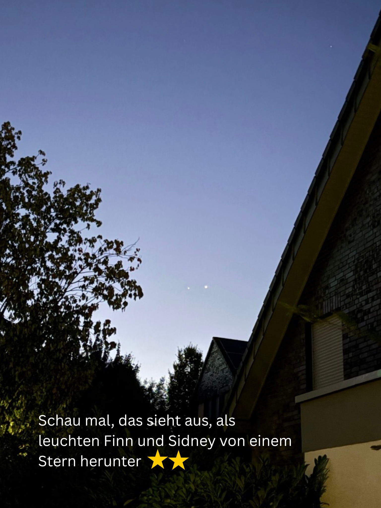 Shopbilder 768x1023 px (4).png