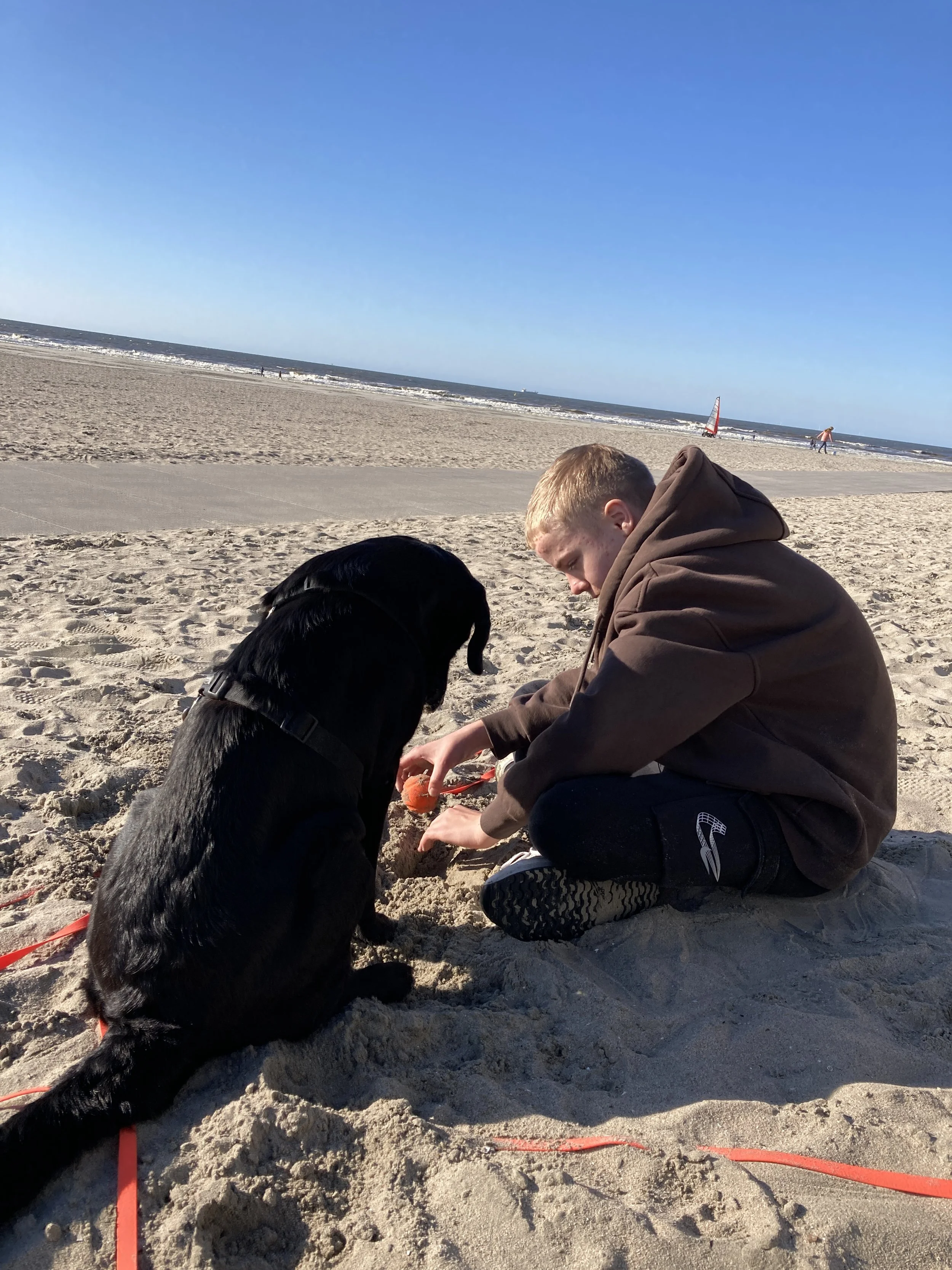 Junge sitzt im Sand am Strand mit schwarzem Hund, beide spielen mit einem kleinen roten Gegenstand bei sonnigem Wetter.