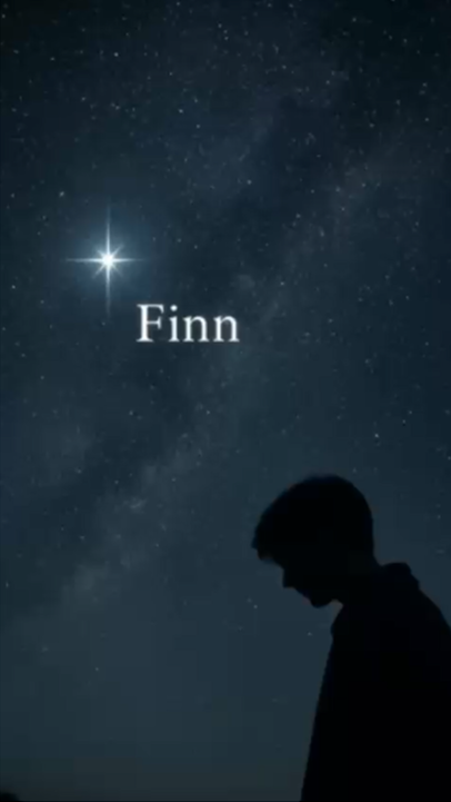 Sternenhimmel mit einer erleuchteten Sternschnuppe, Silhouette eines Jungen nach unten blickend, Name 'Finn' in der Mitte.