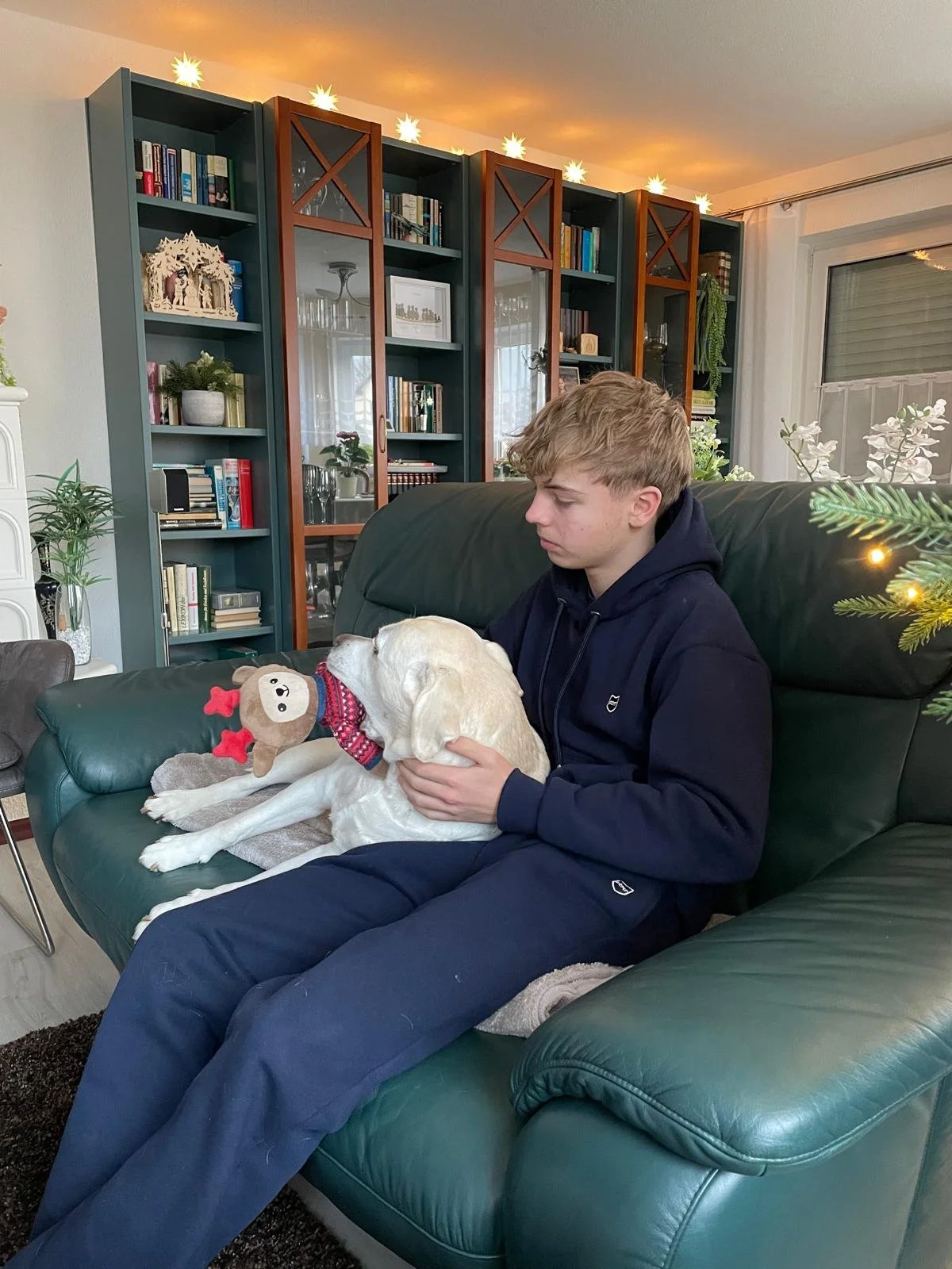 Ein junger Mann sitzt auf einem grünen Ledersofa und hält einen Hund auf seinem Schoß. Besonders auffällig ist ein Stofftier mit Rentier-Design, das auf dem Hund liegt. Im Hintergrund befindet sich ein Bücherregal mit verschiedenen Büchern und Dekora