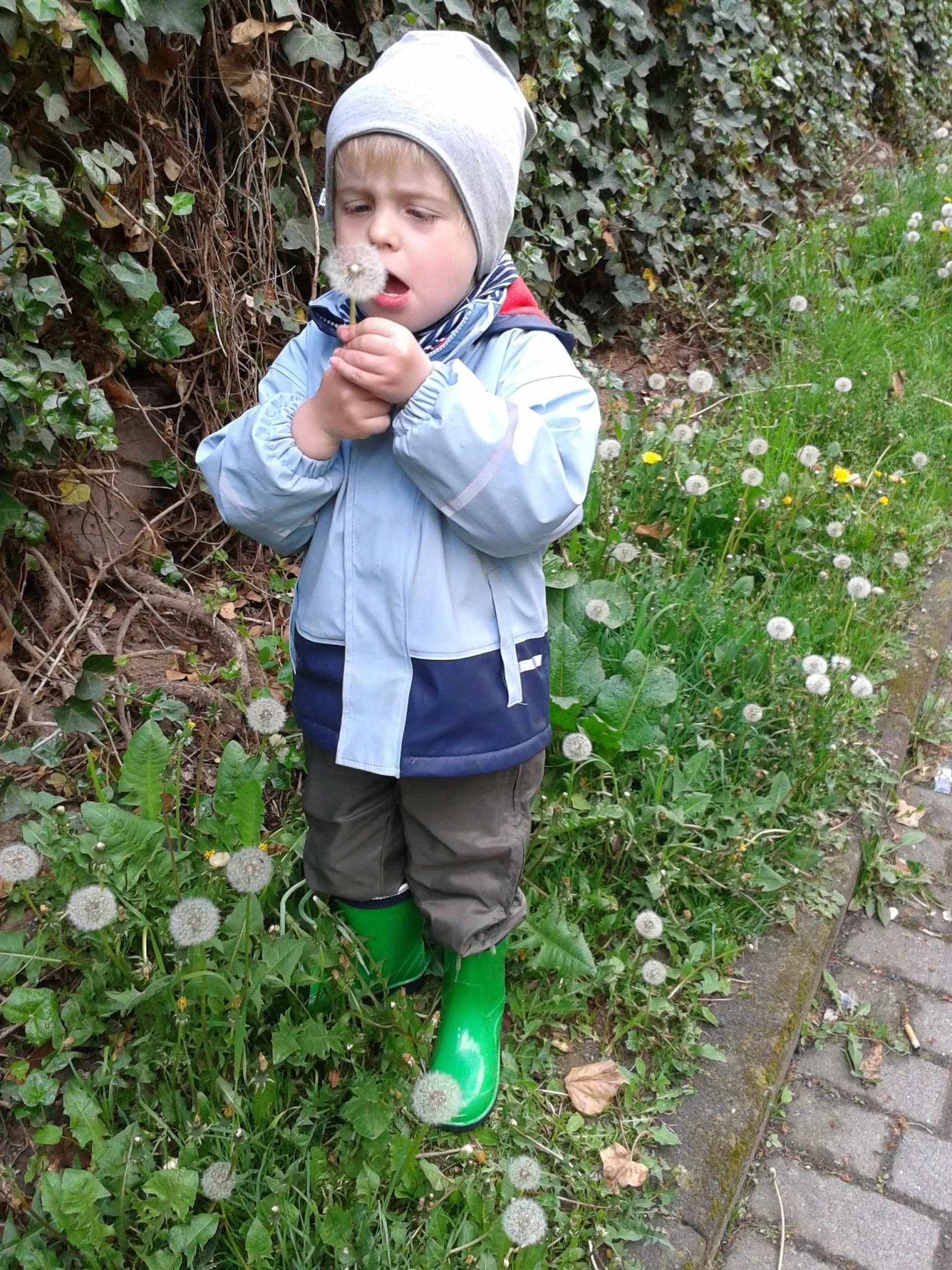 2013-05-11 17.06.42_Original.JPEG