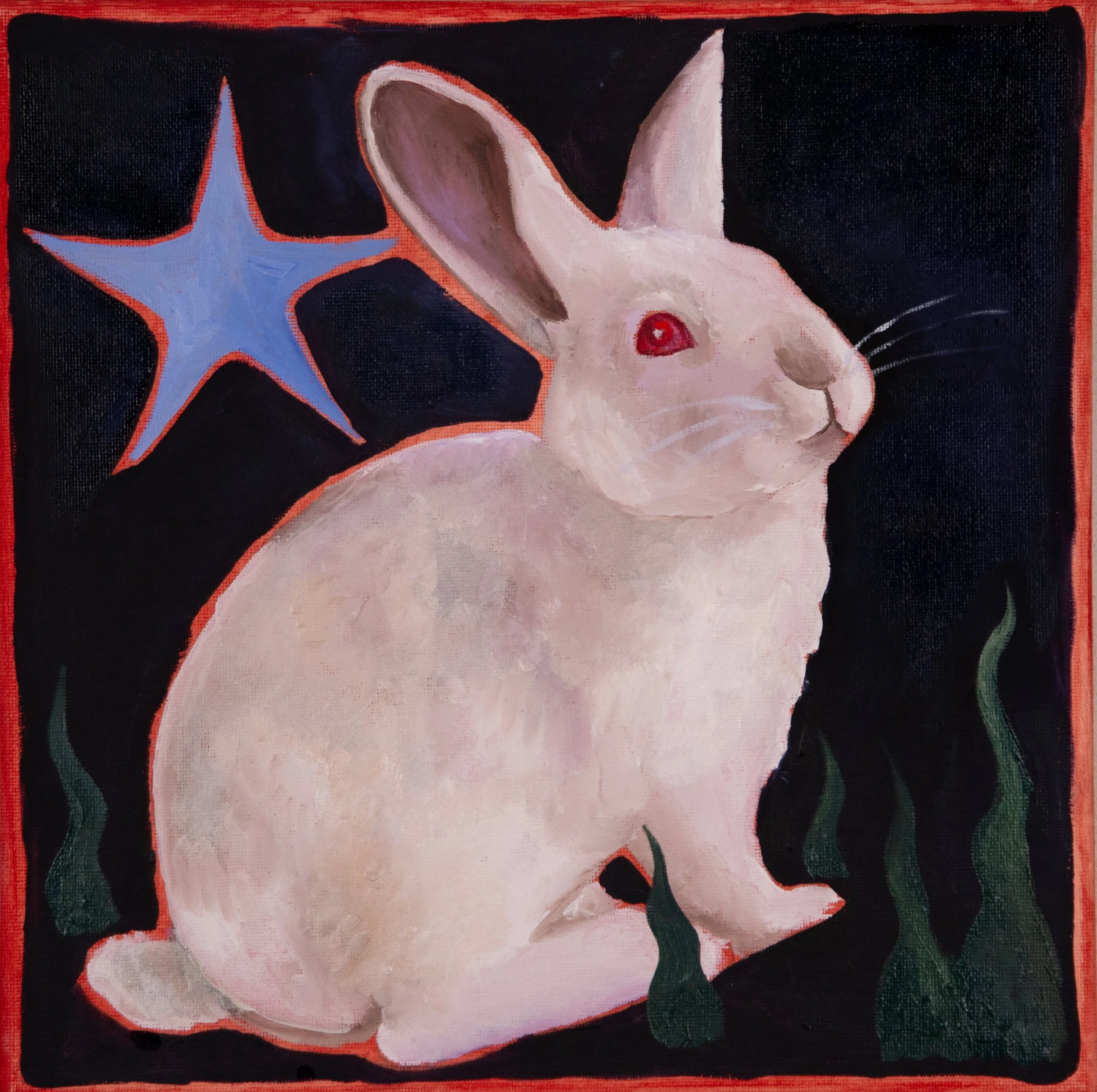 bunny.jpg