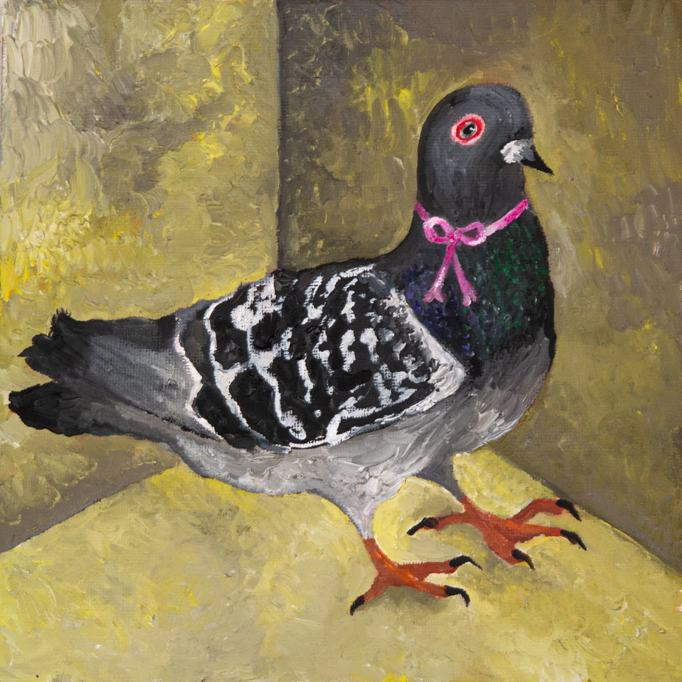 pigeon.jpg