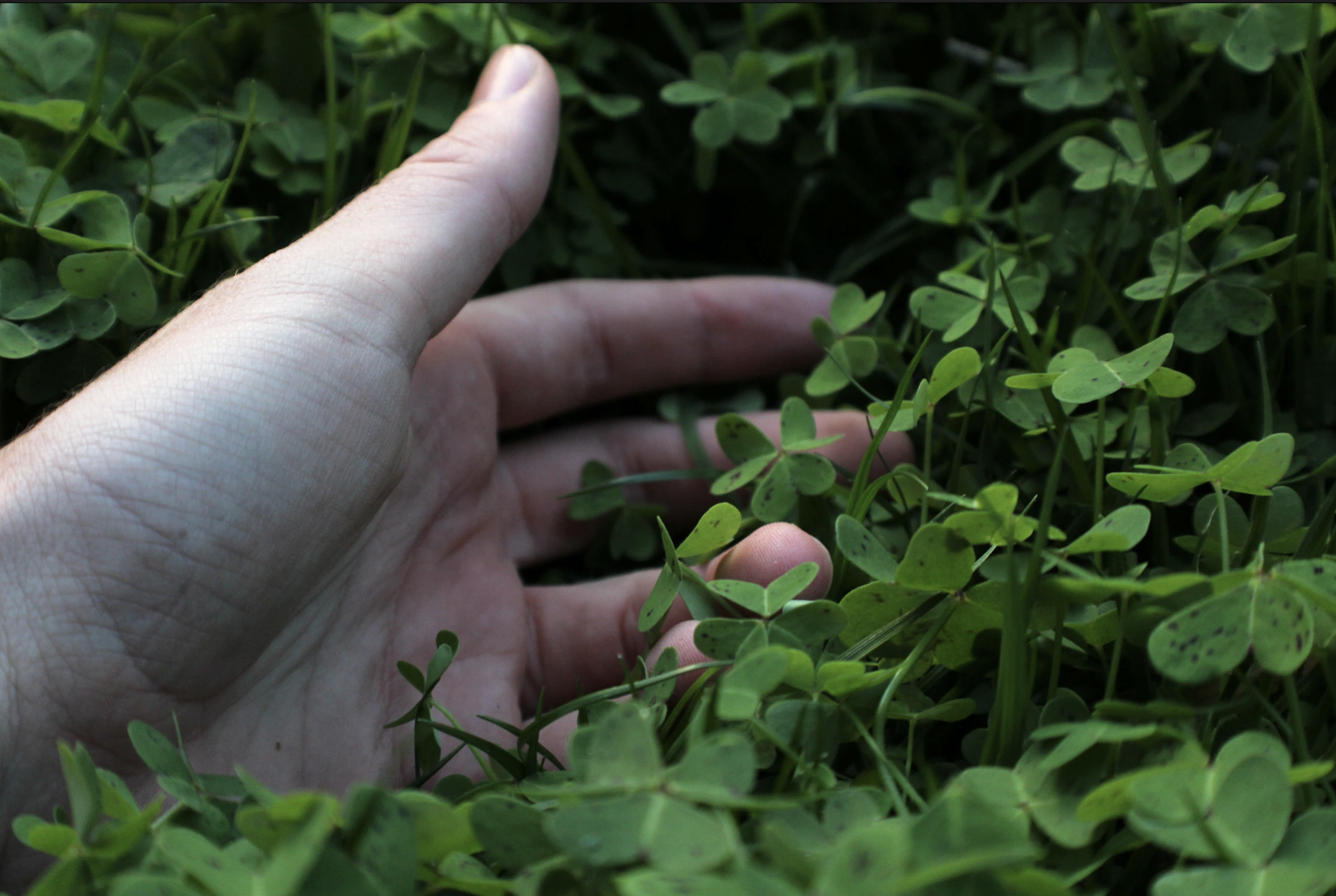 Screenshot 2025-10-03 at 12.08.32 PM.png