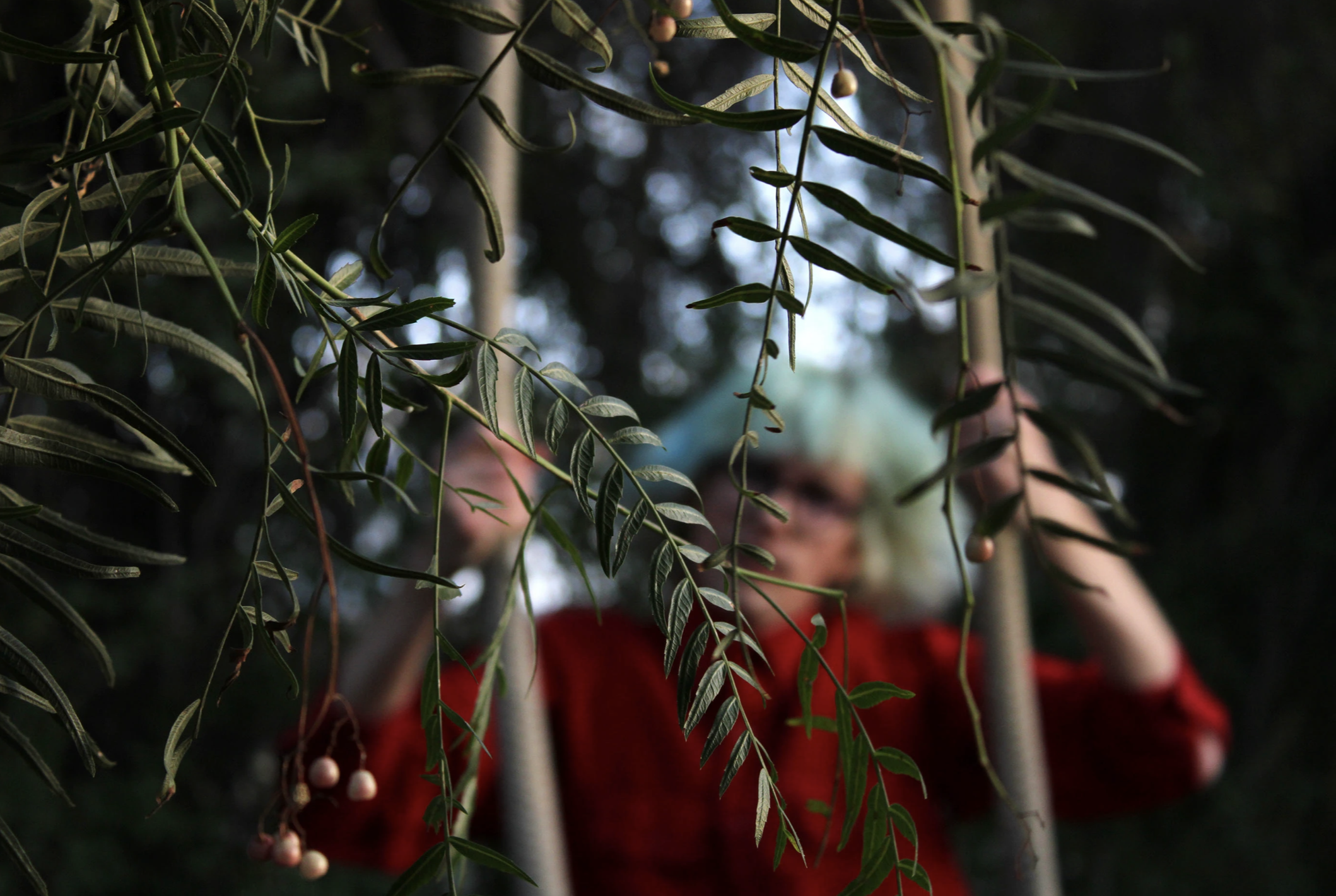 Screenshot 2025-10-03 at 12.09.35 PM.png