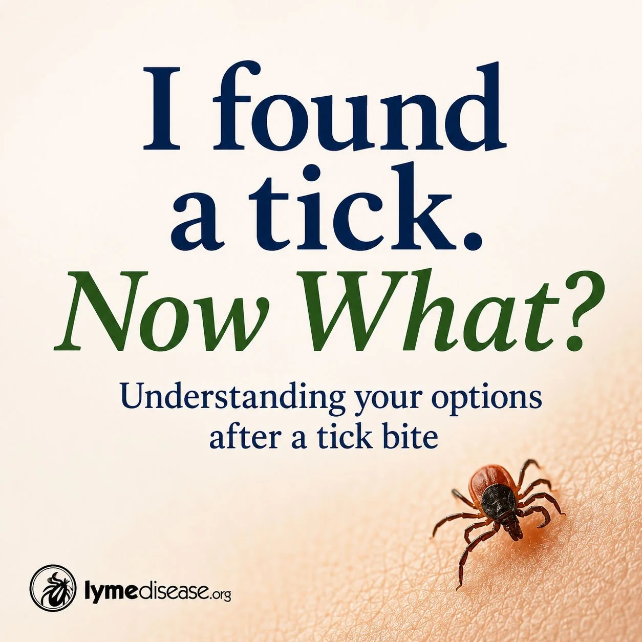 I found a tick.  Now what? 