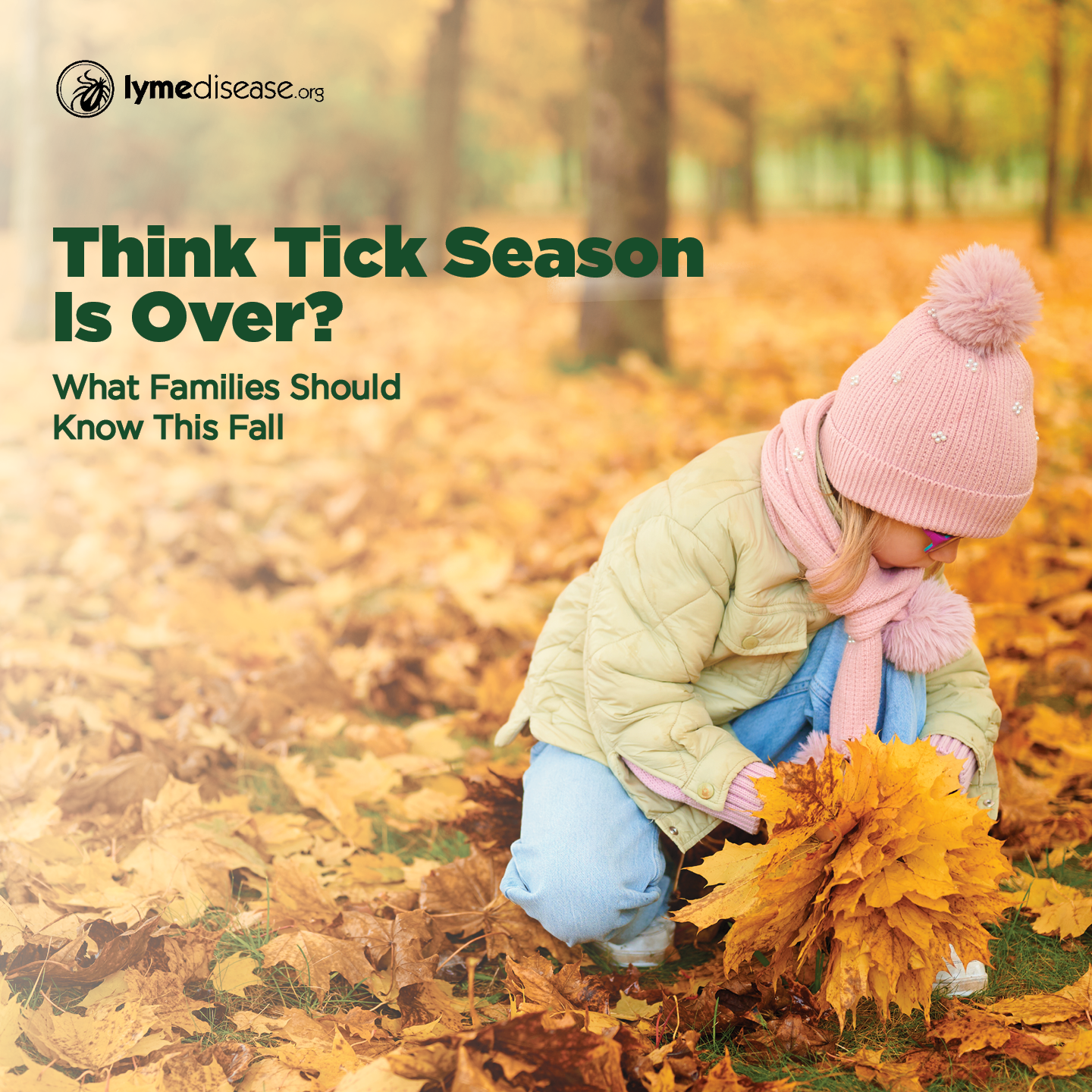 Think tick season is over? Why fall yard cleanup matters