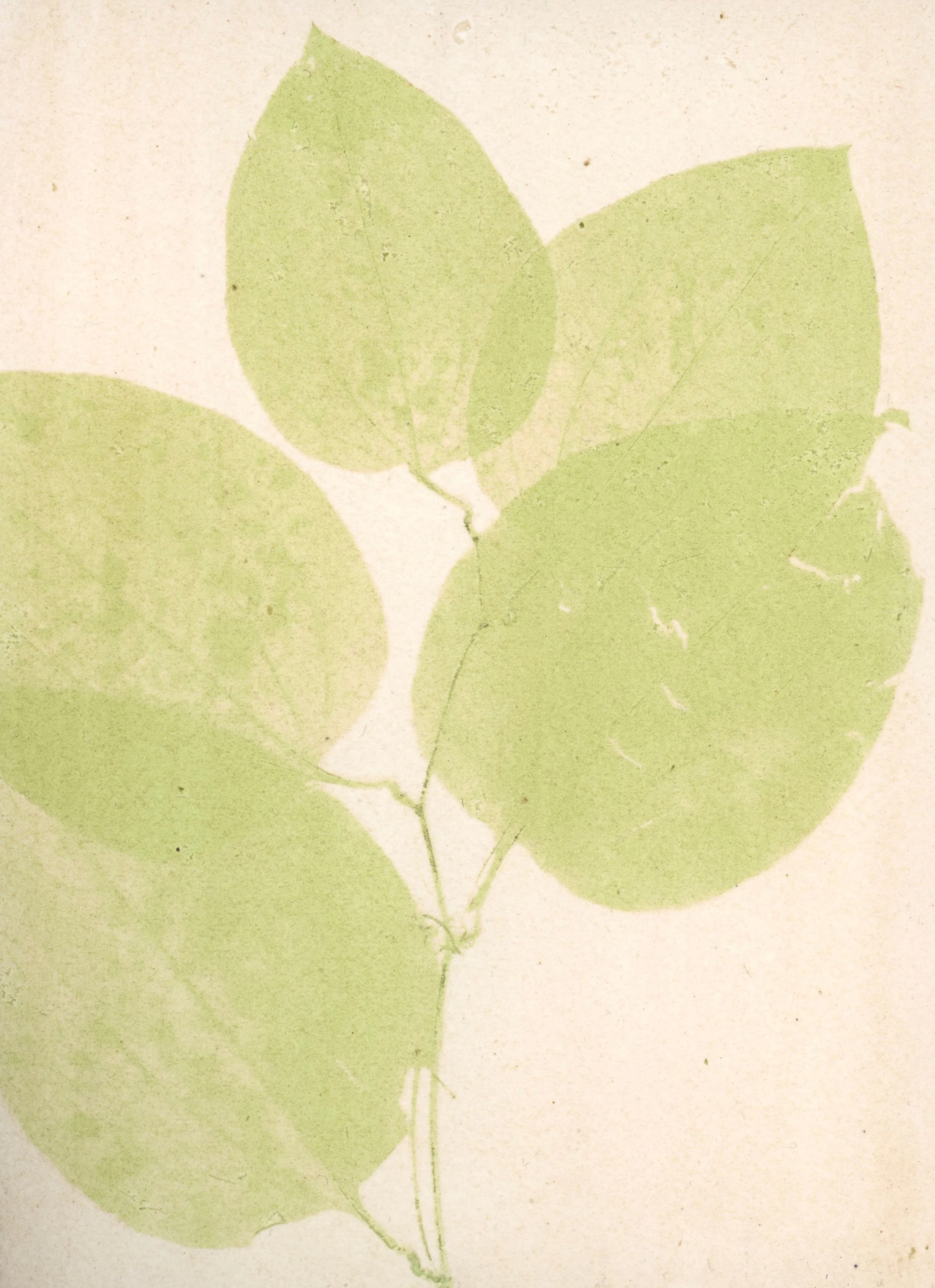 Greenbrier1.jpg