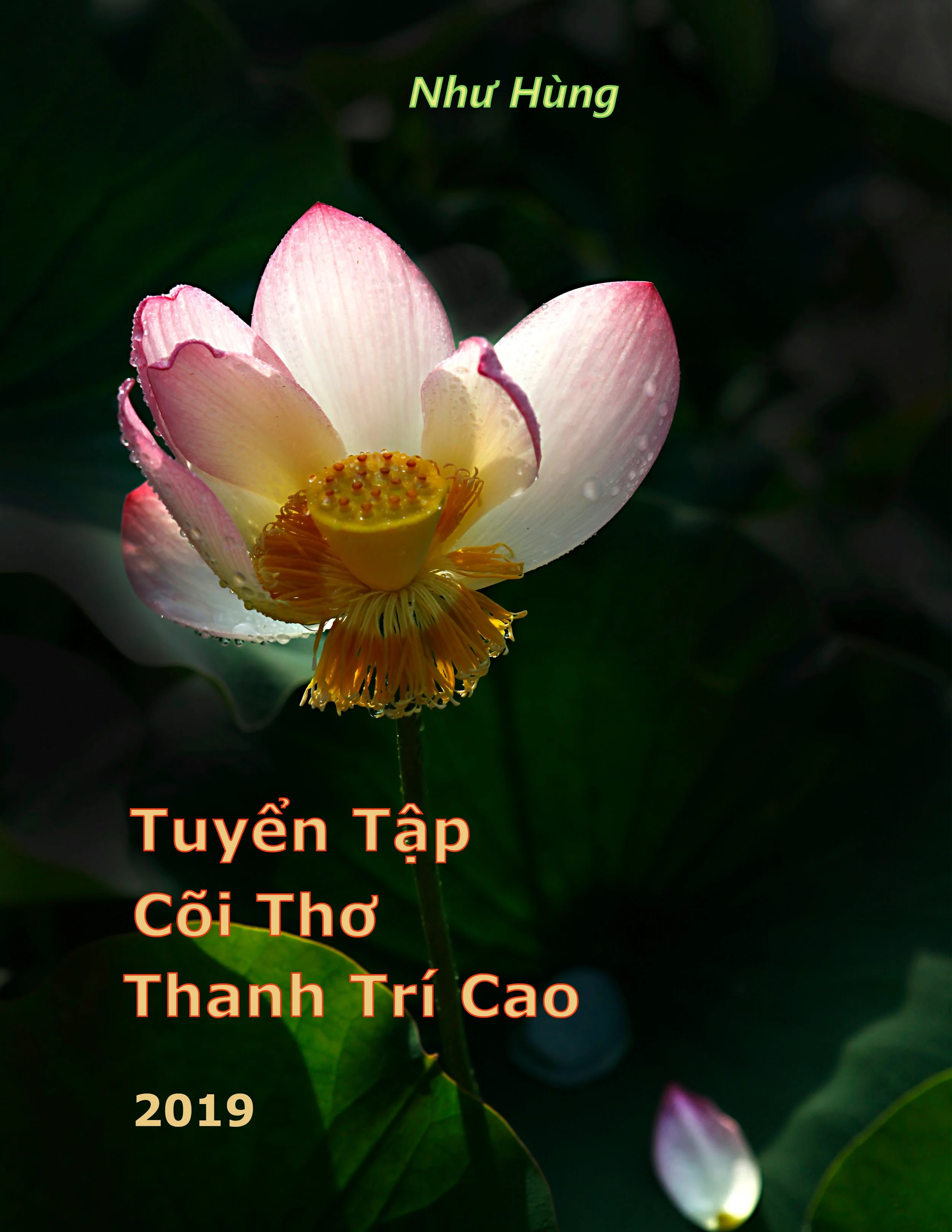TUYỂN TẬP CÕI THƠ THANH TRÍ CAO - Như Hùng