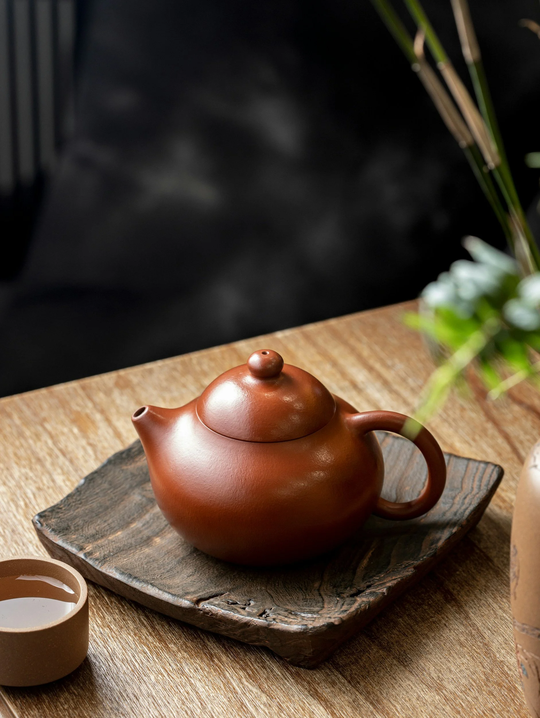 CHÁNH NIỆM TRONG CUỘC SỐNG - Đào Văn Bình