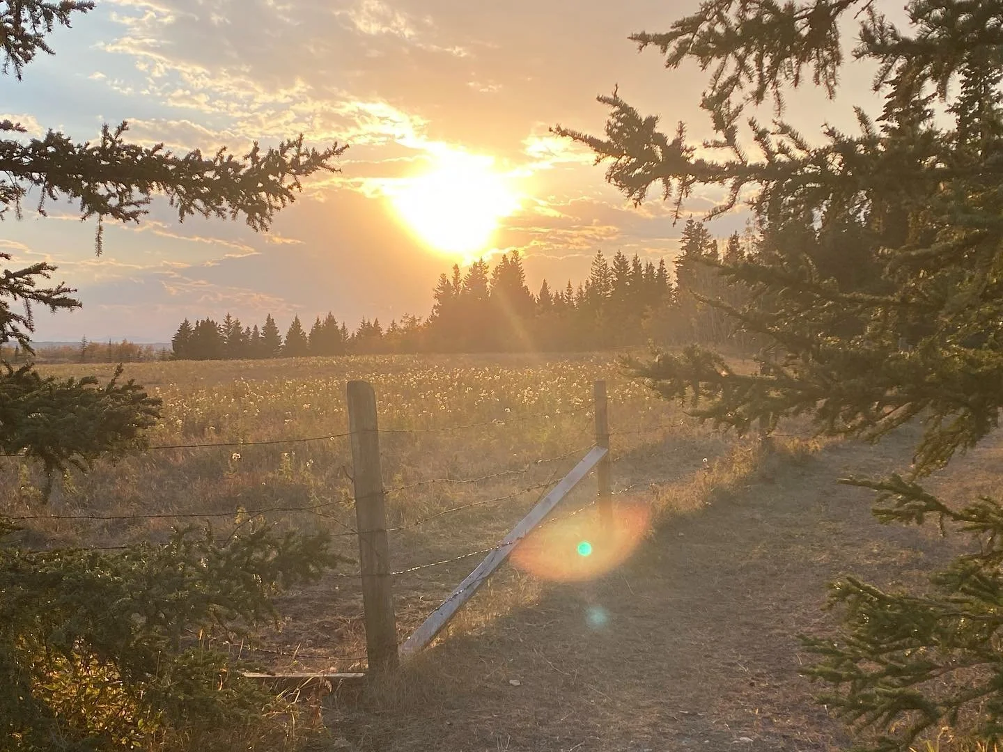 #hope as the #cornerstone for all #therapeutic #work #beauty #nature #therapist #yyctherapist #arttherapy #talktherapy