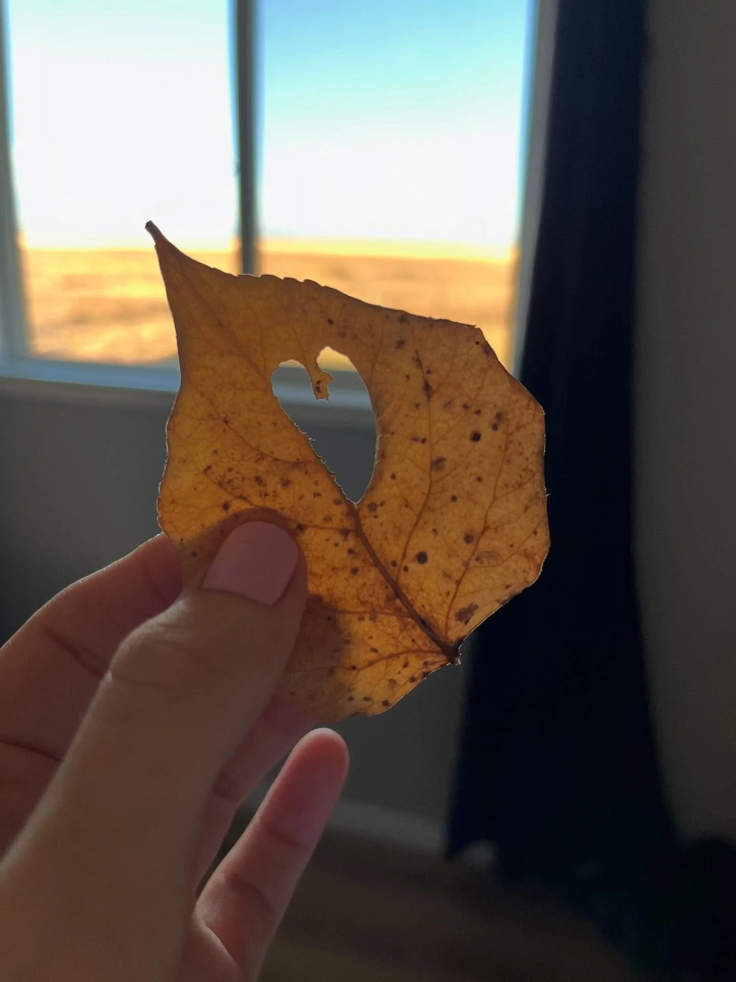 Help is just one message away 🫶🏻 Now accepting clients for online and in-person therapy