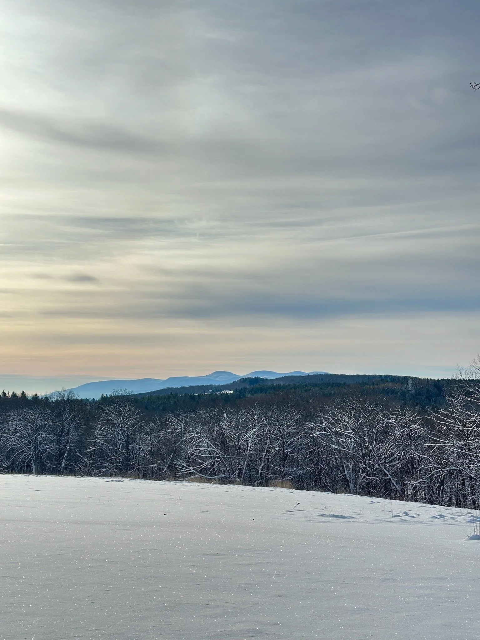 Snow-covered landscape with trees, distant mountains, and a cloudy sky.