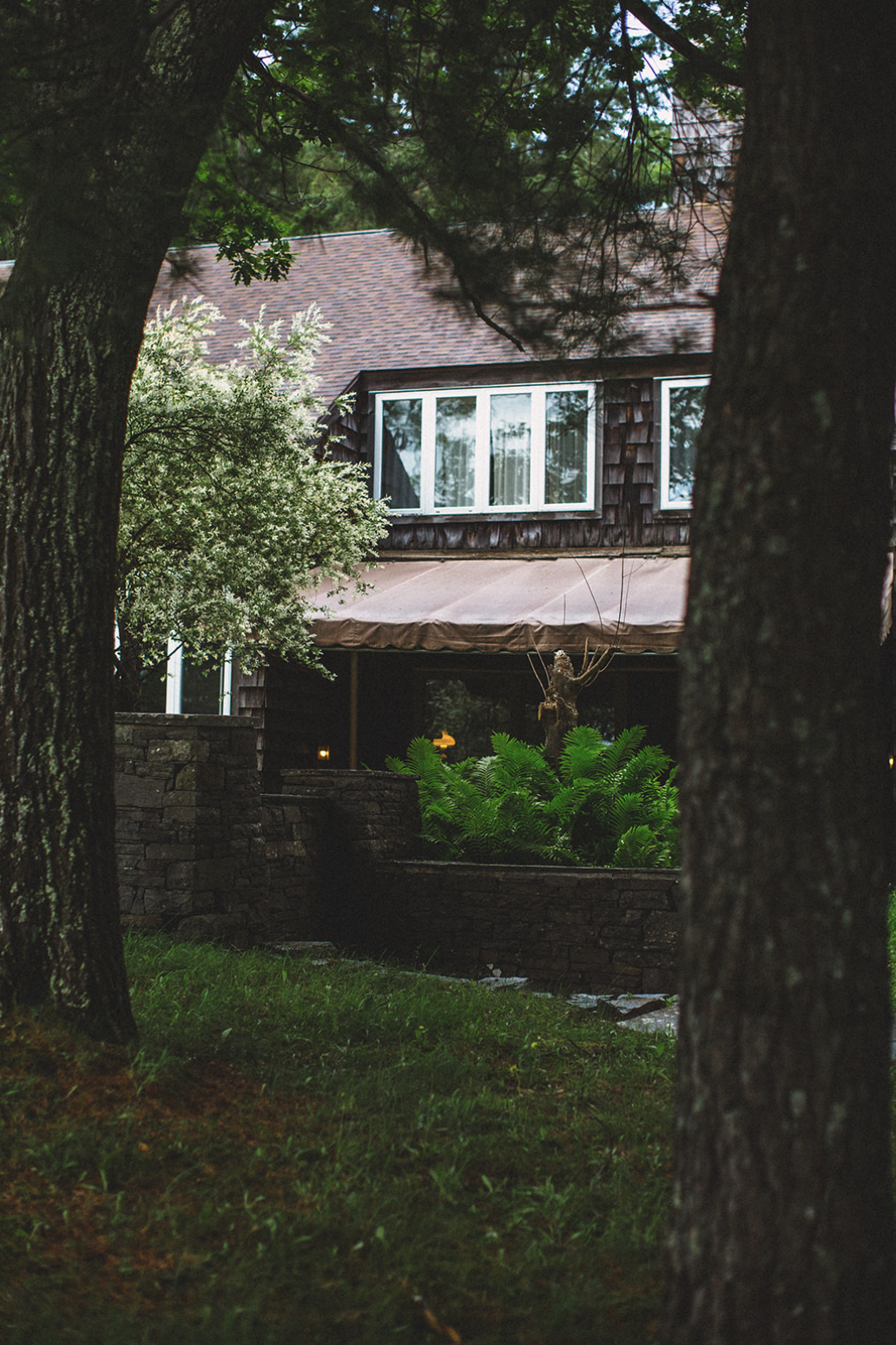 A view of a house partially hidden behind trees and foliage in a lush, green setting. The house has large windows on the upper floor and a shaded porch area.